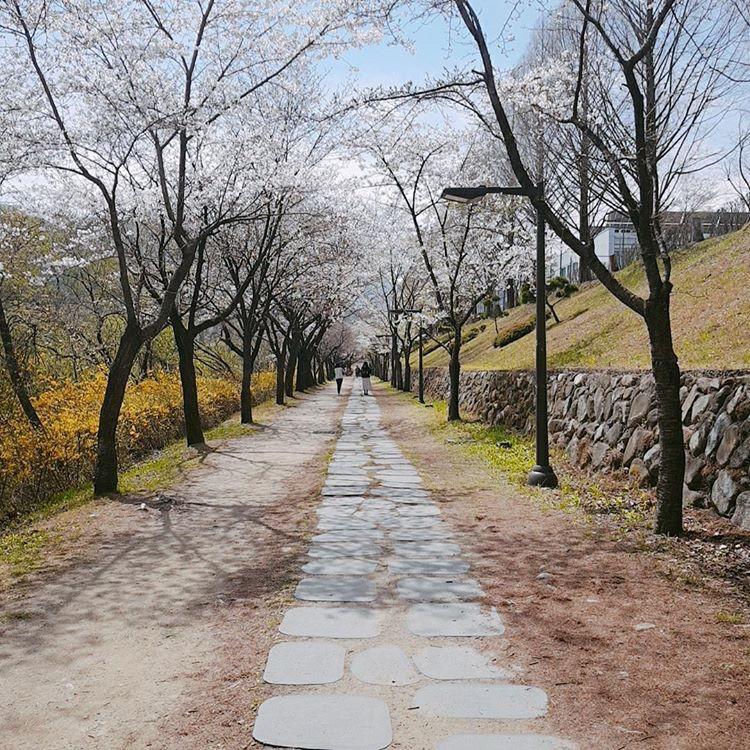 흥업면 실거주자 사진 1