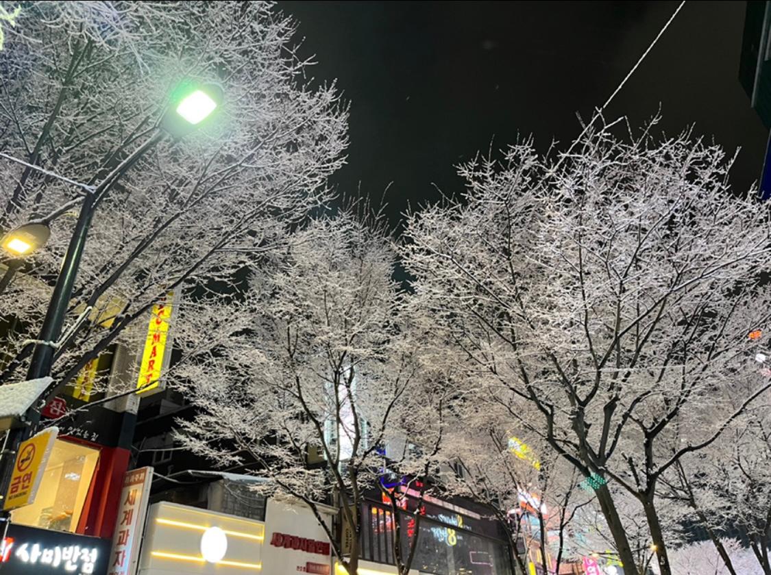 성내동 실거주자 사진 3