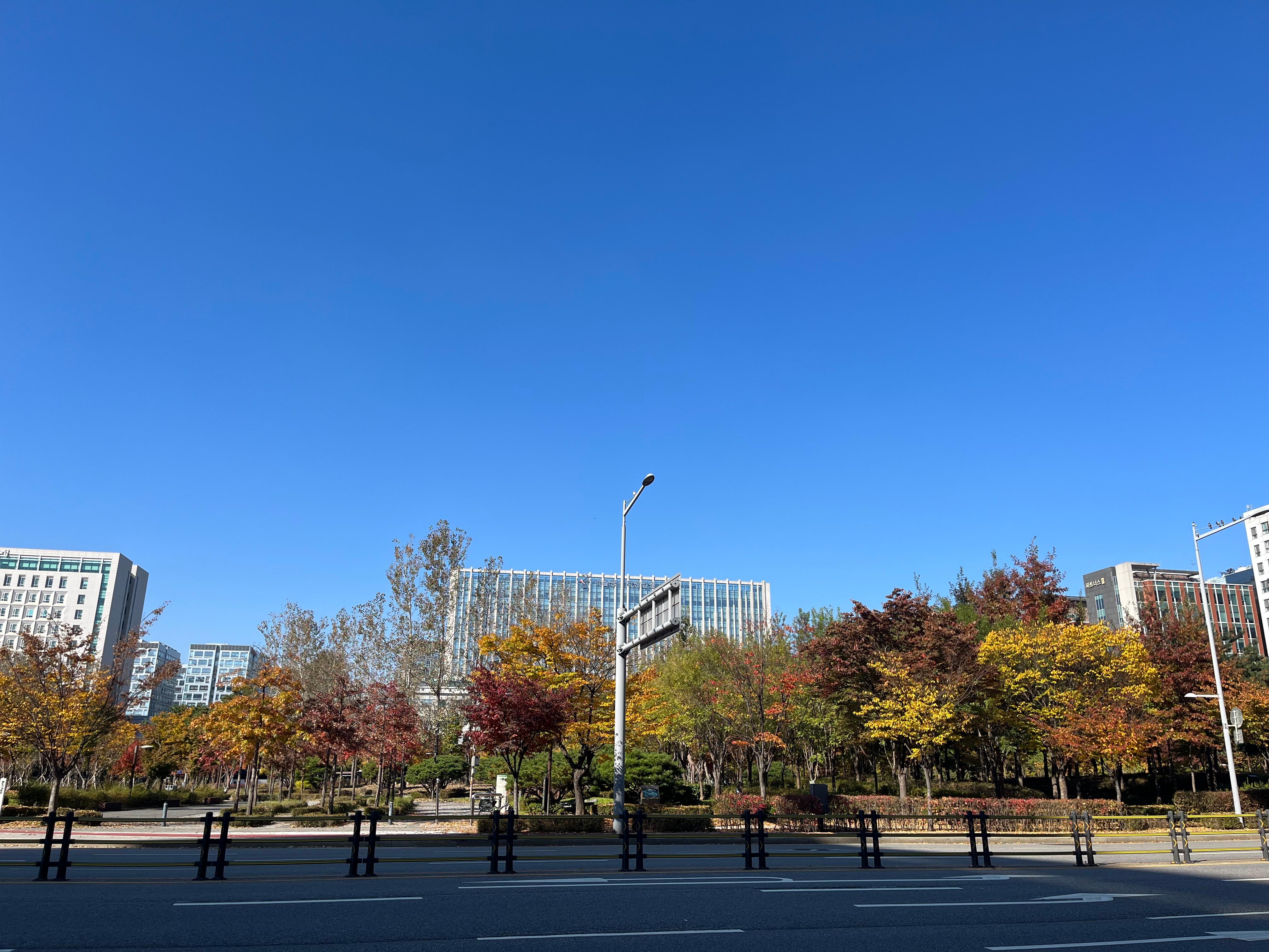 문정동 실거주자 사진 3