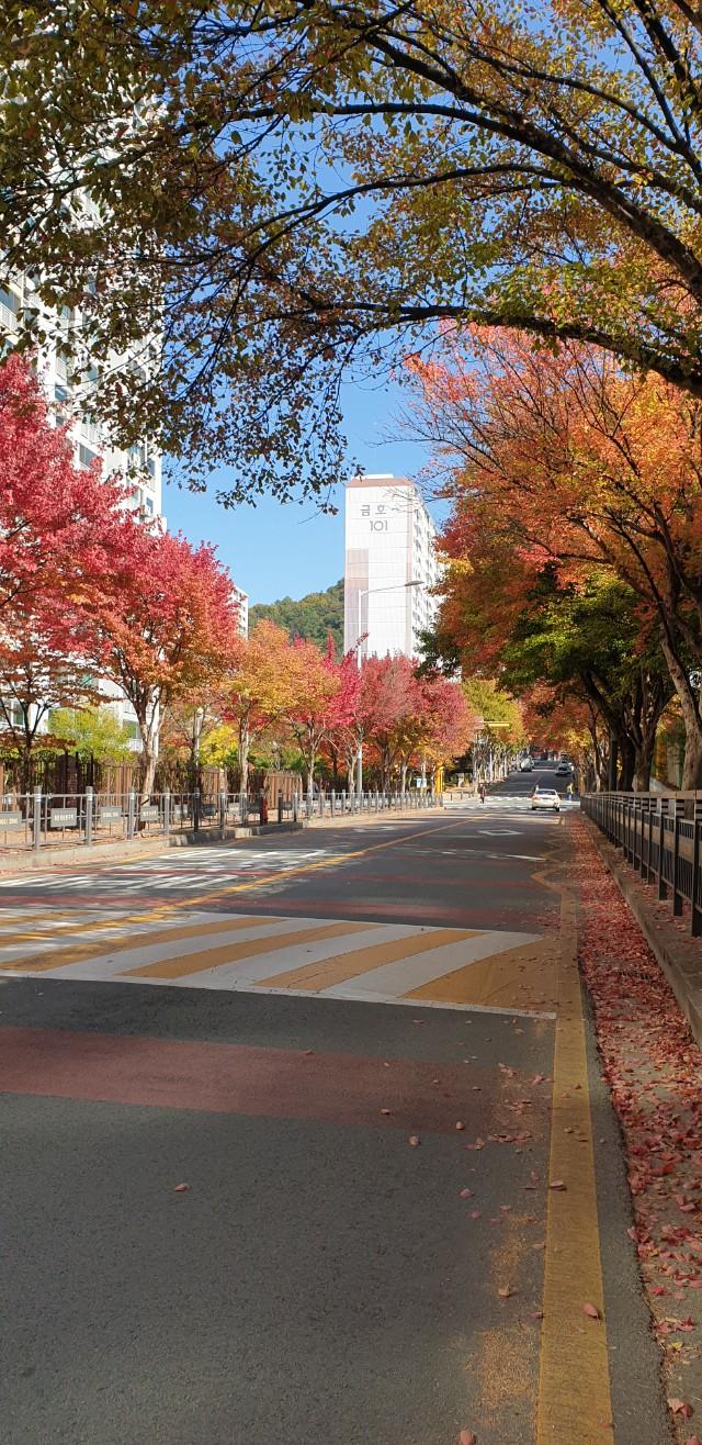 풍암동 실거주자 사진 3