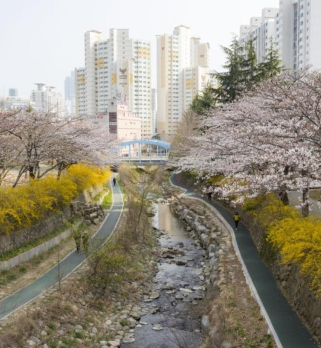 좌동 실거주자 사진 2