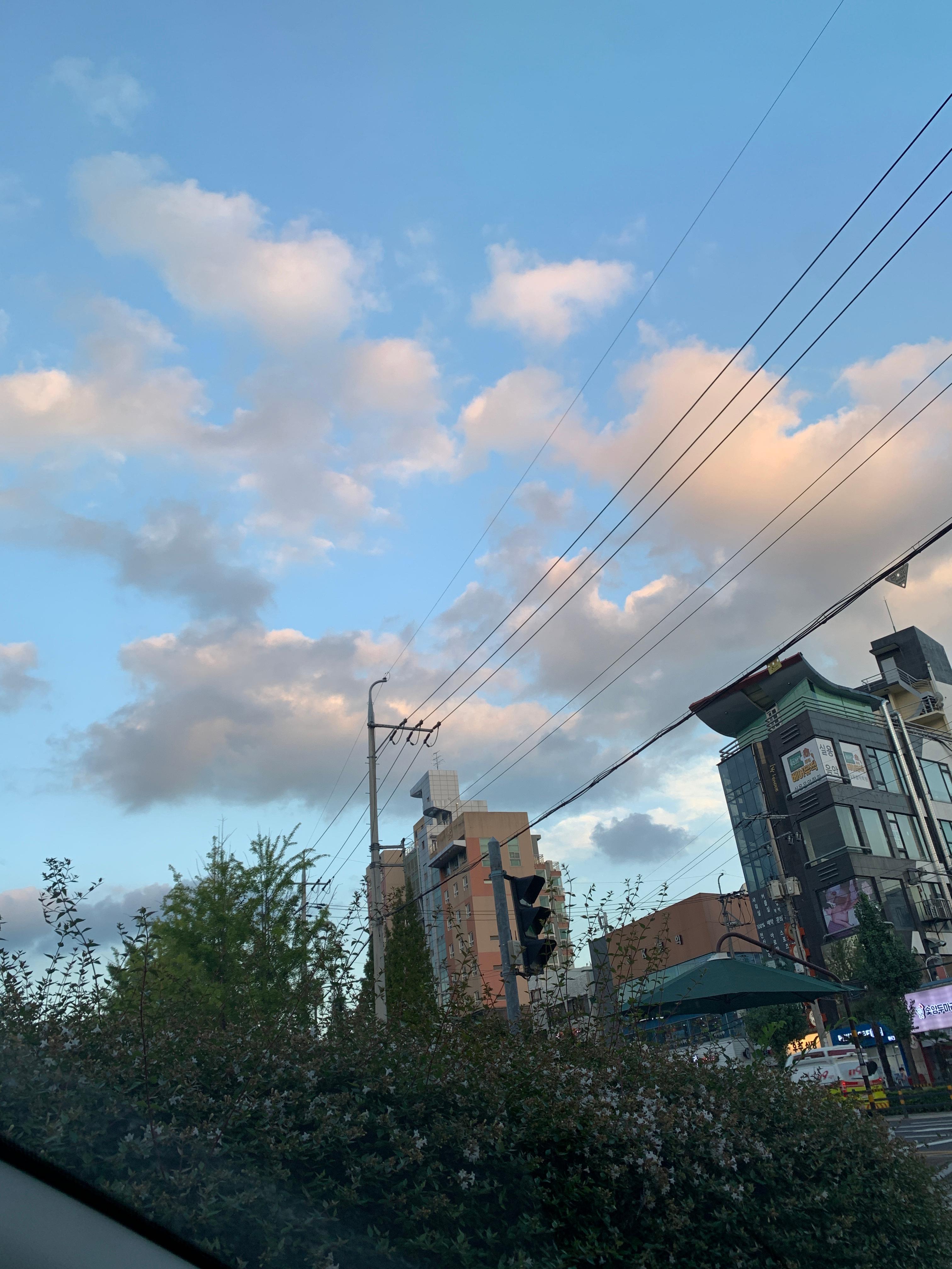 고성읍 실거주자 사진 2