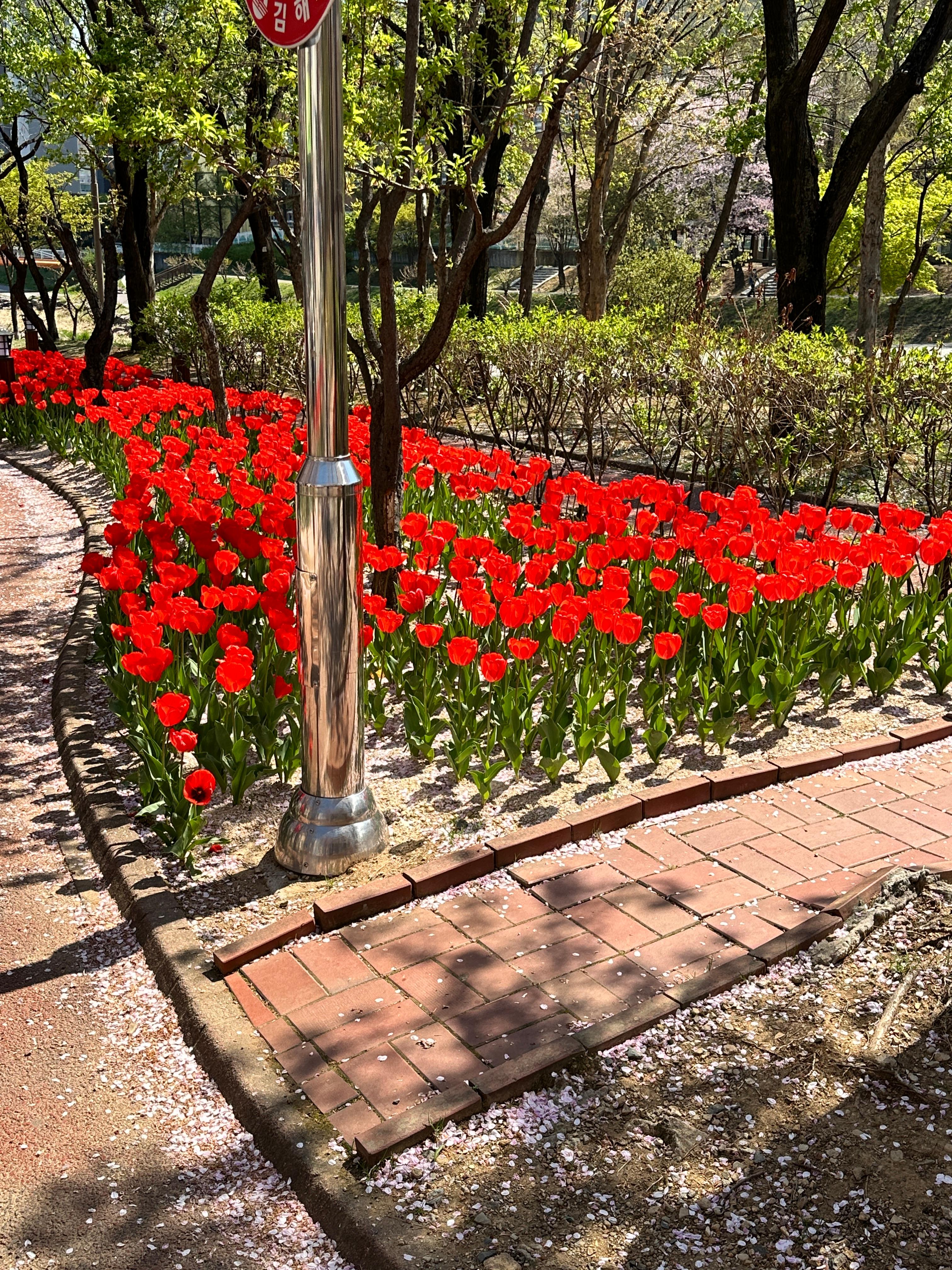 대청동 실거주자 사진 3