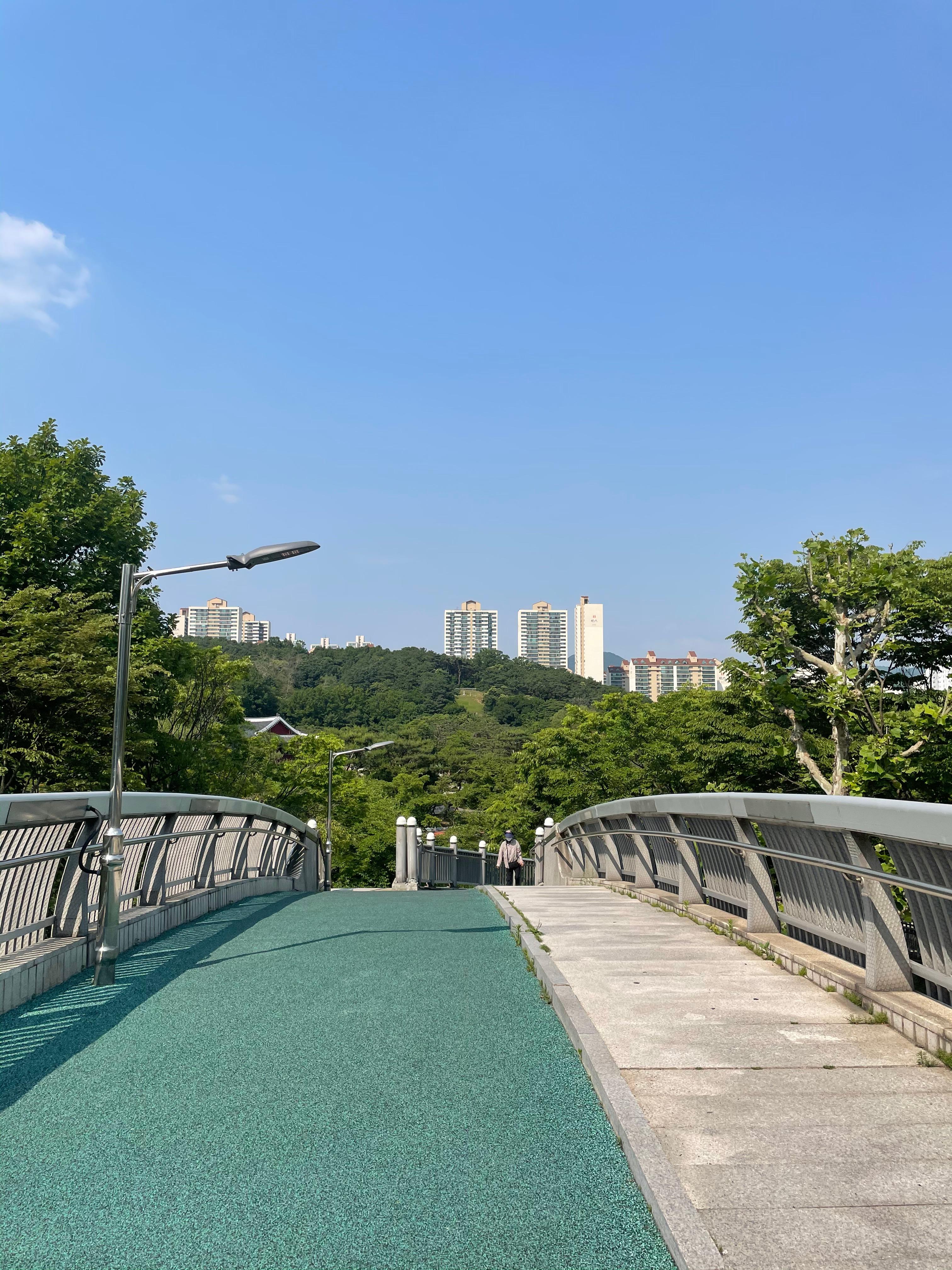 수내동 실거주자 사진 2