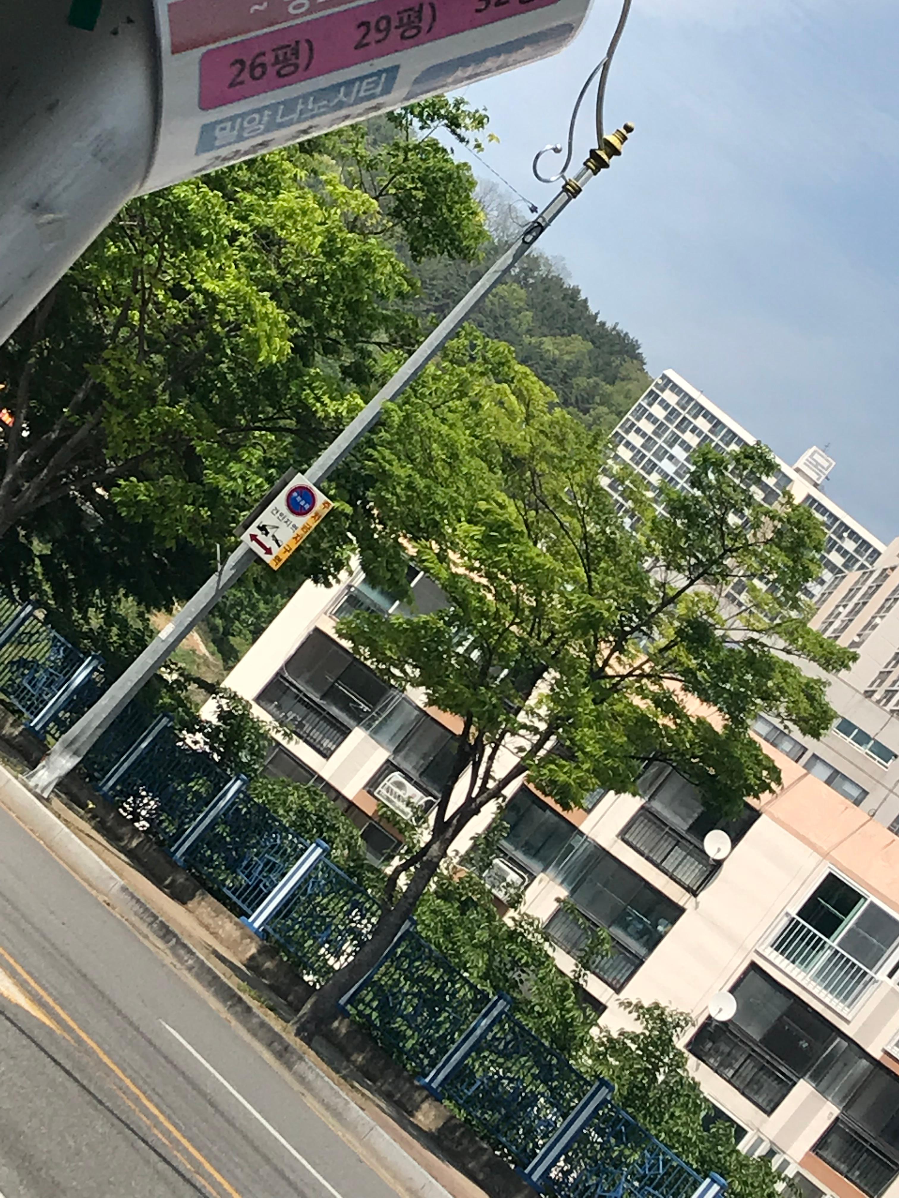 교동 실거주자 사진 2