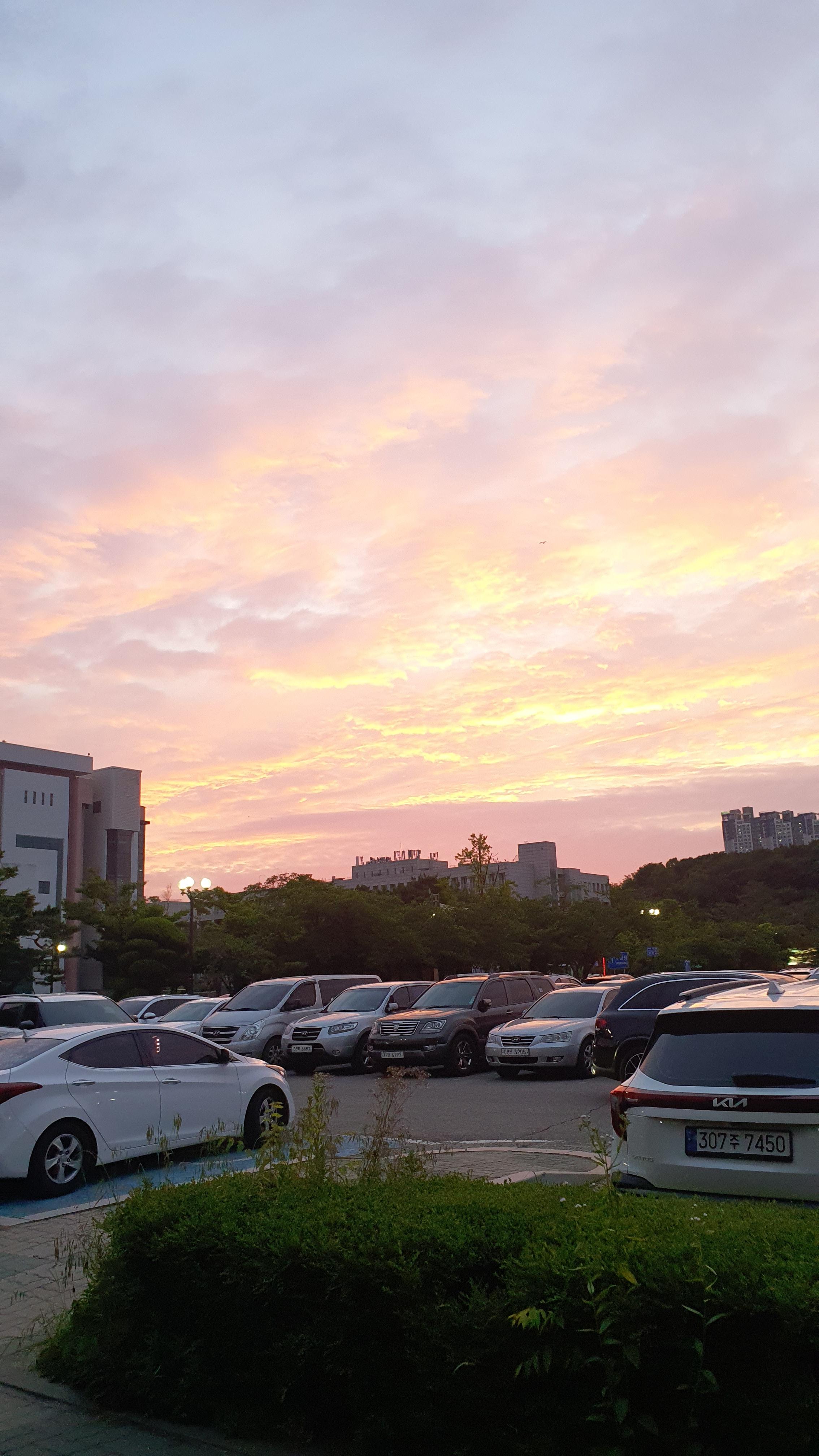 사동 실거주자 사진 1