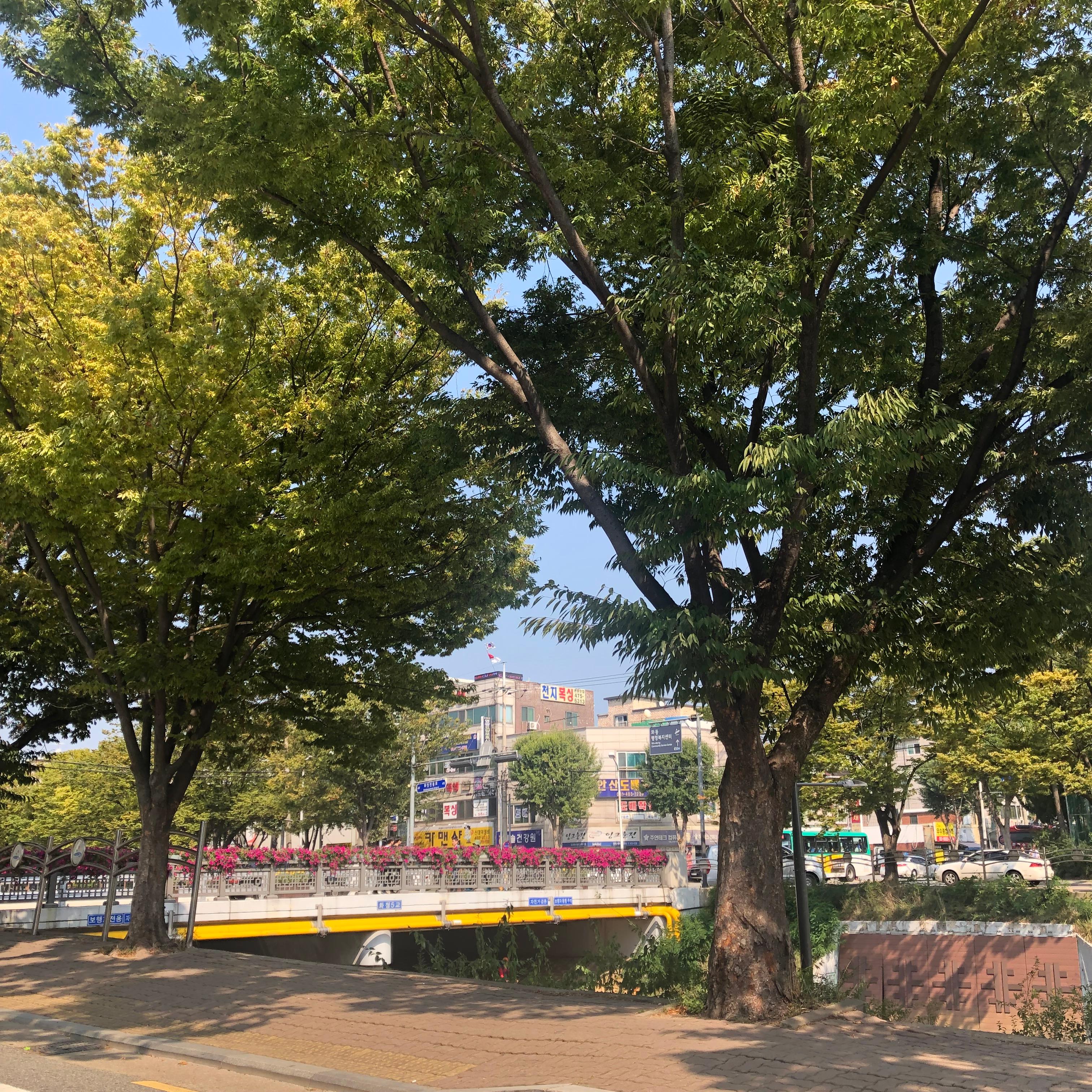 송산면 실거주자 사진 1