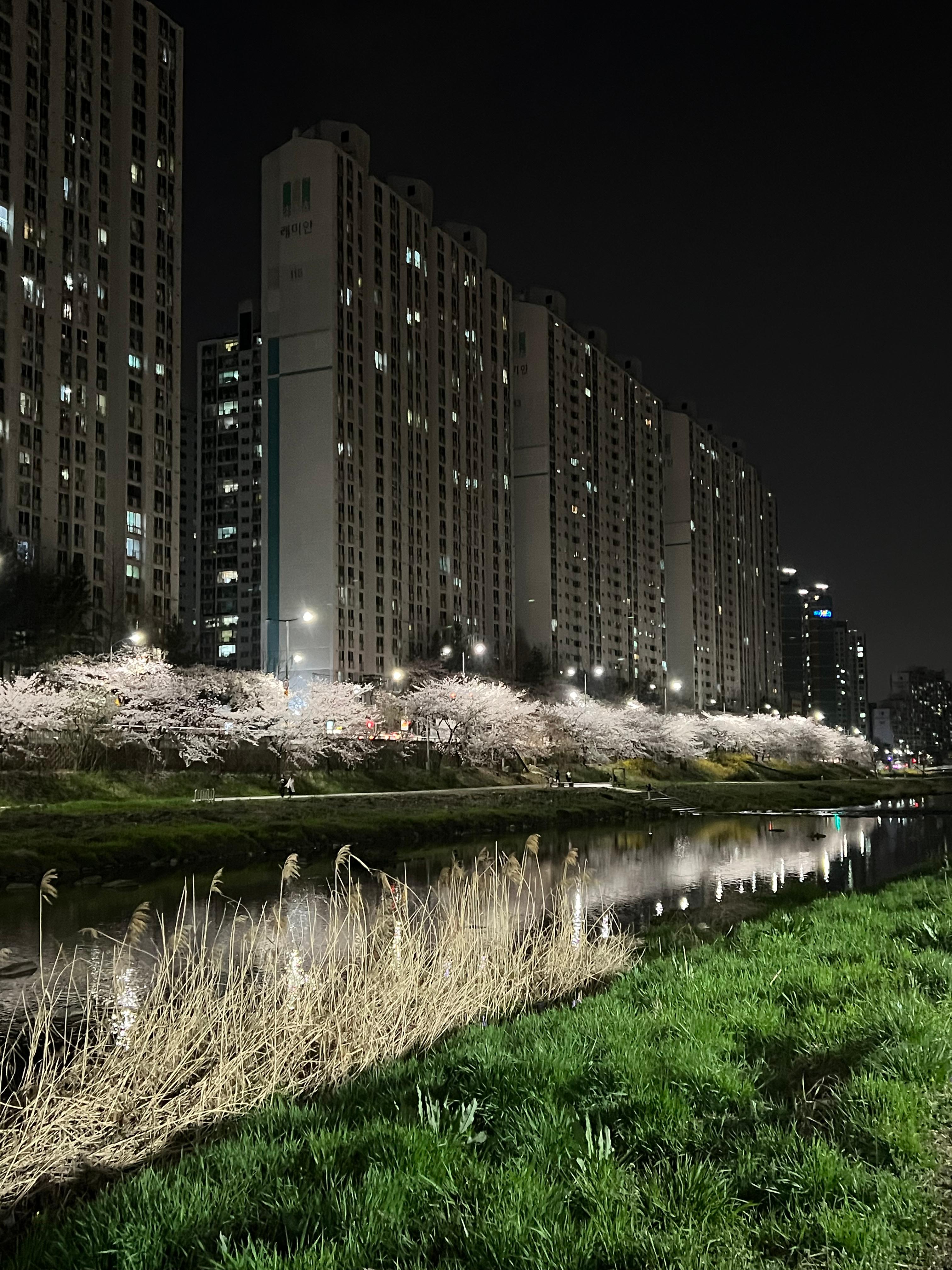 비산동 실거주자 사진 1