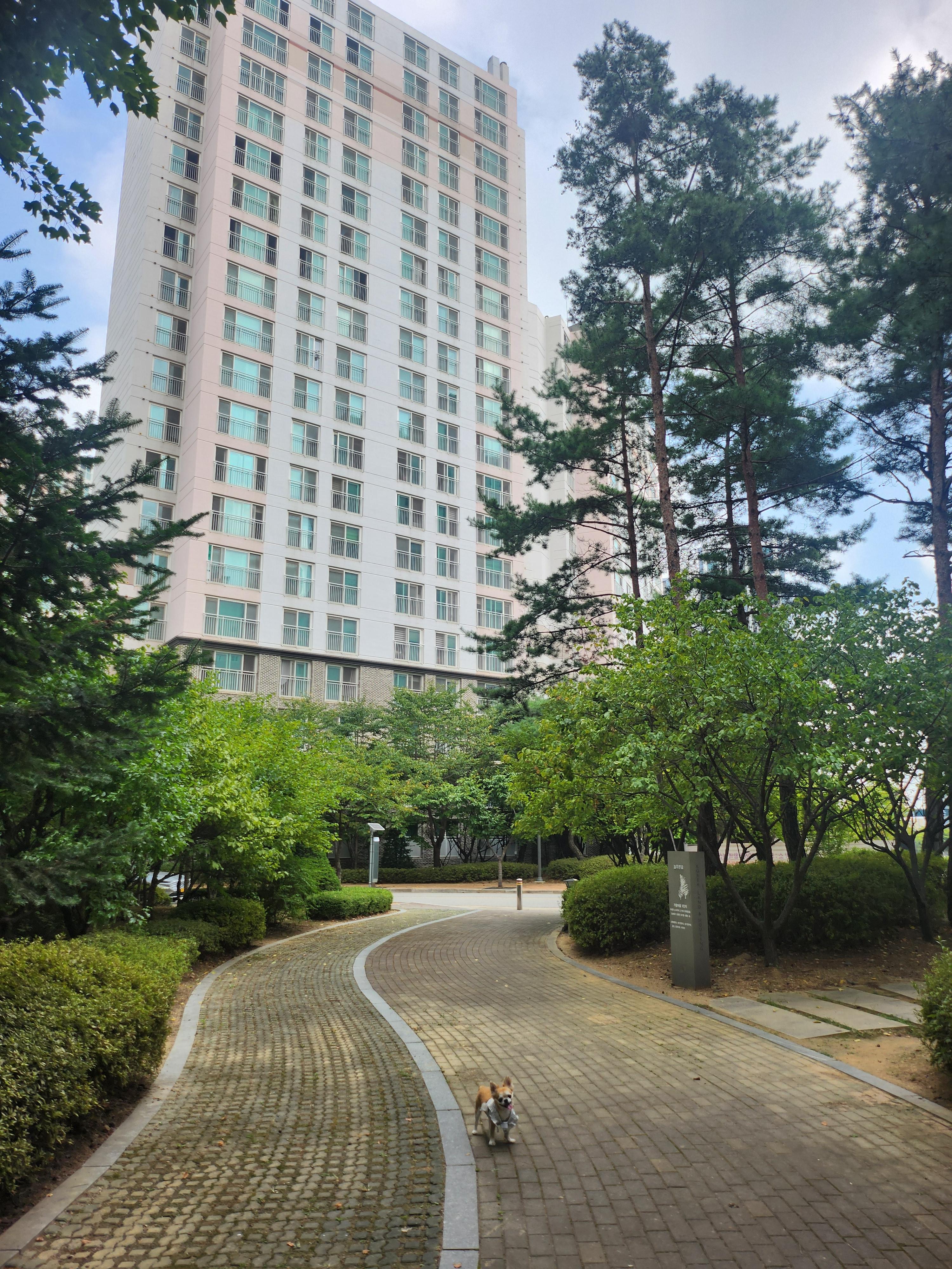 와동동 실거주자 사진 2
