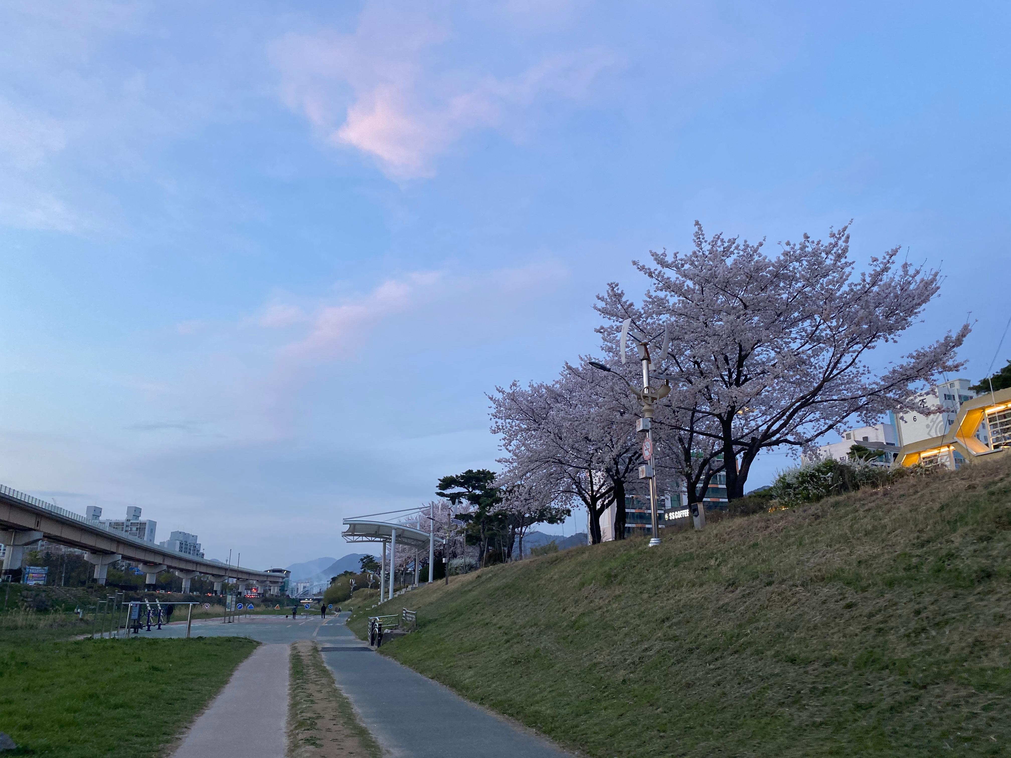 외동 실거주자 사진 3