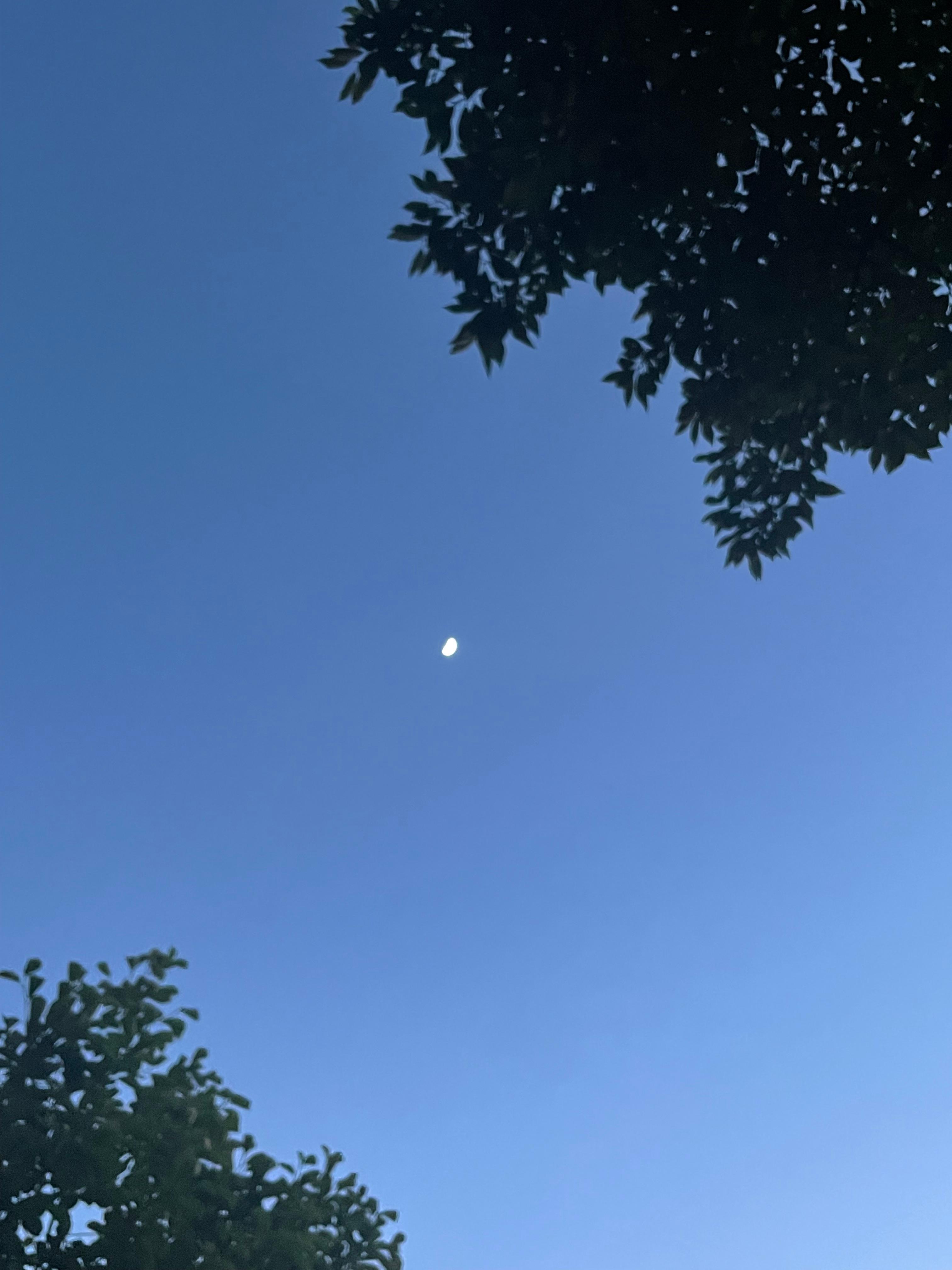 신림동 실거주자 사진 1