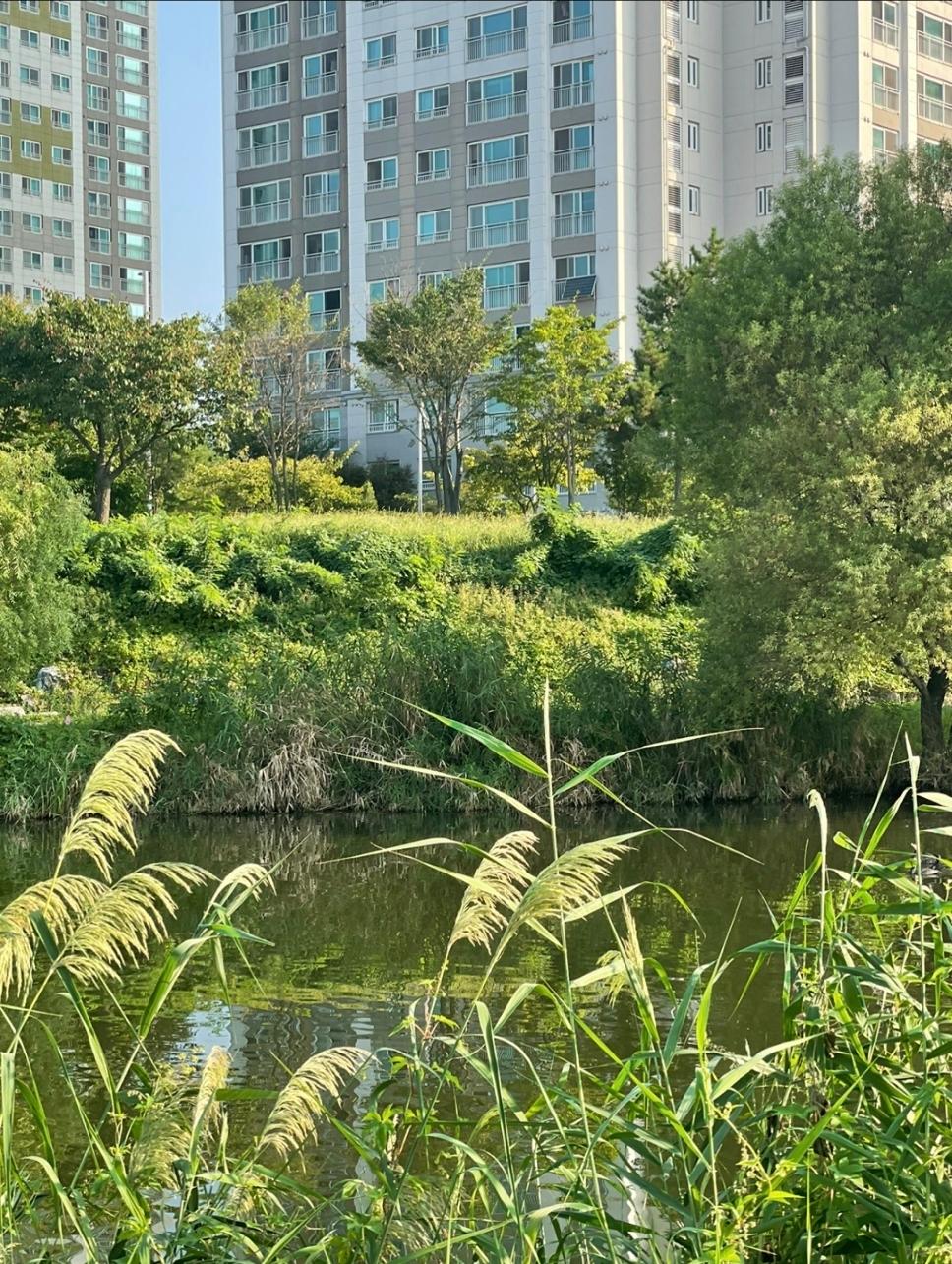 사동 실거주자 사진 2