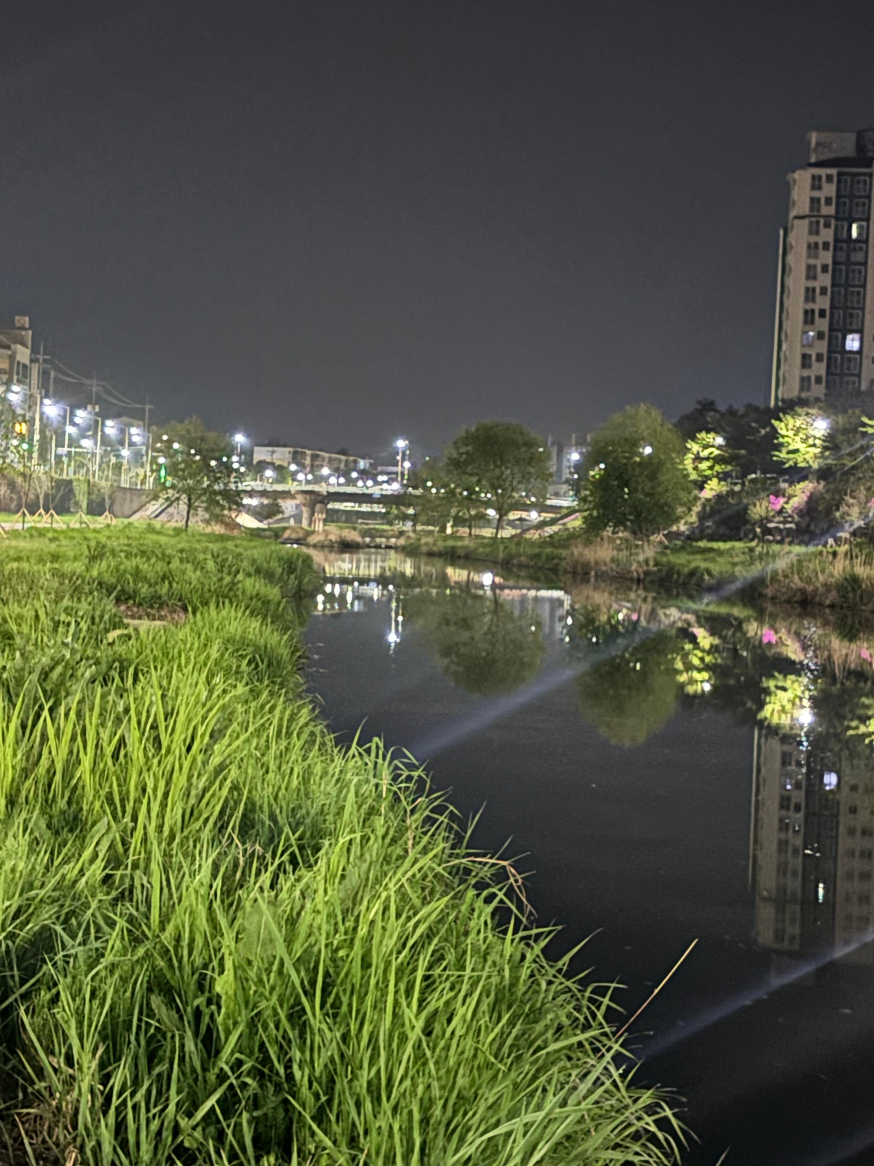 고림동 실거주자 사진 3