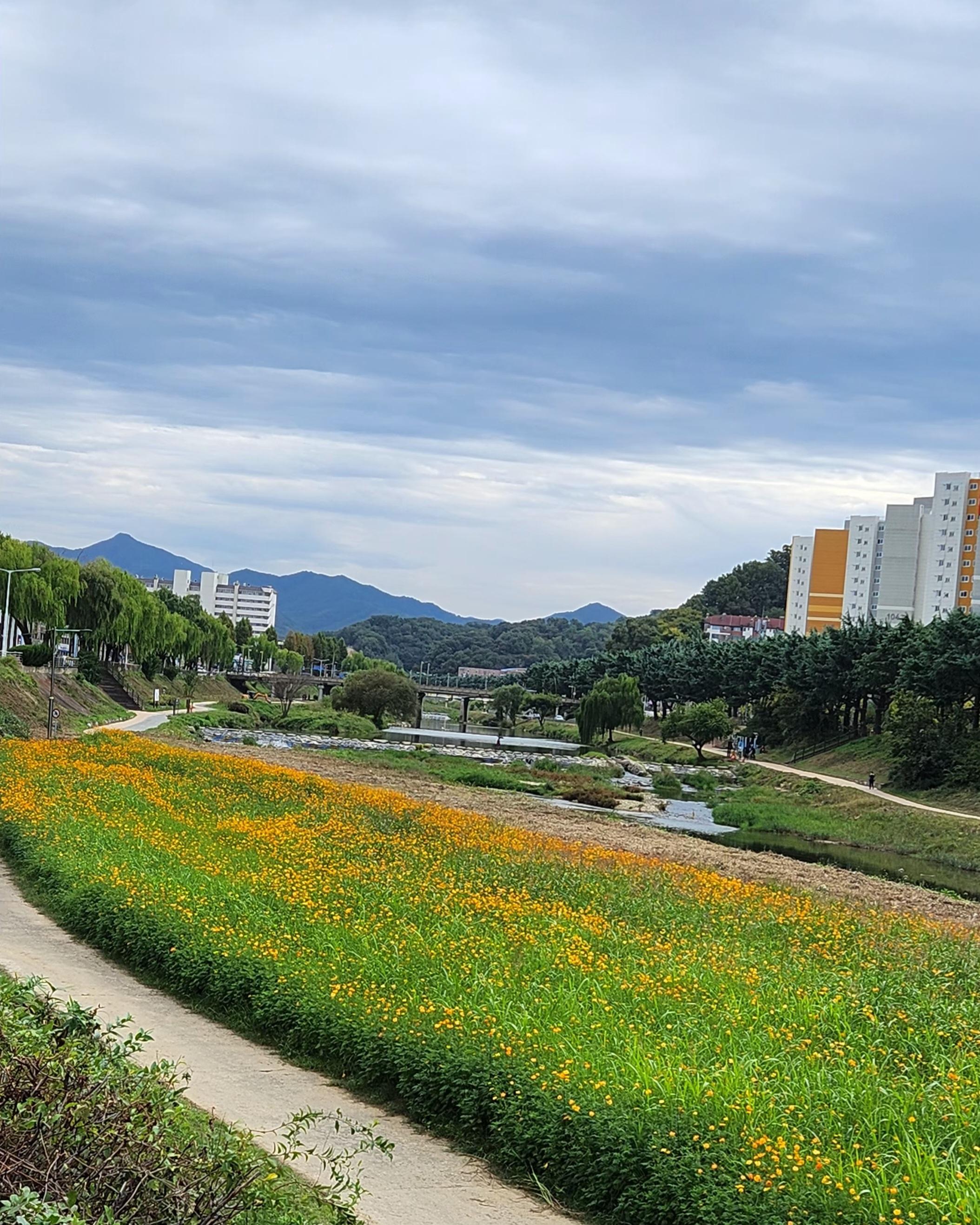 서신동 실거주자 사진 1
