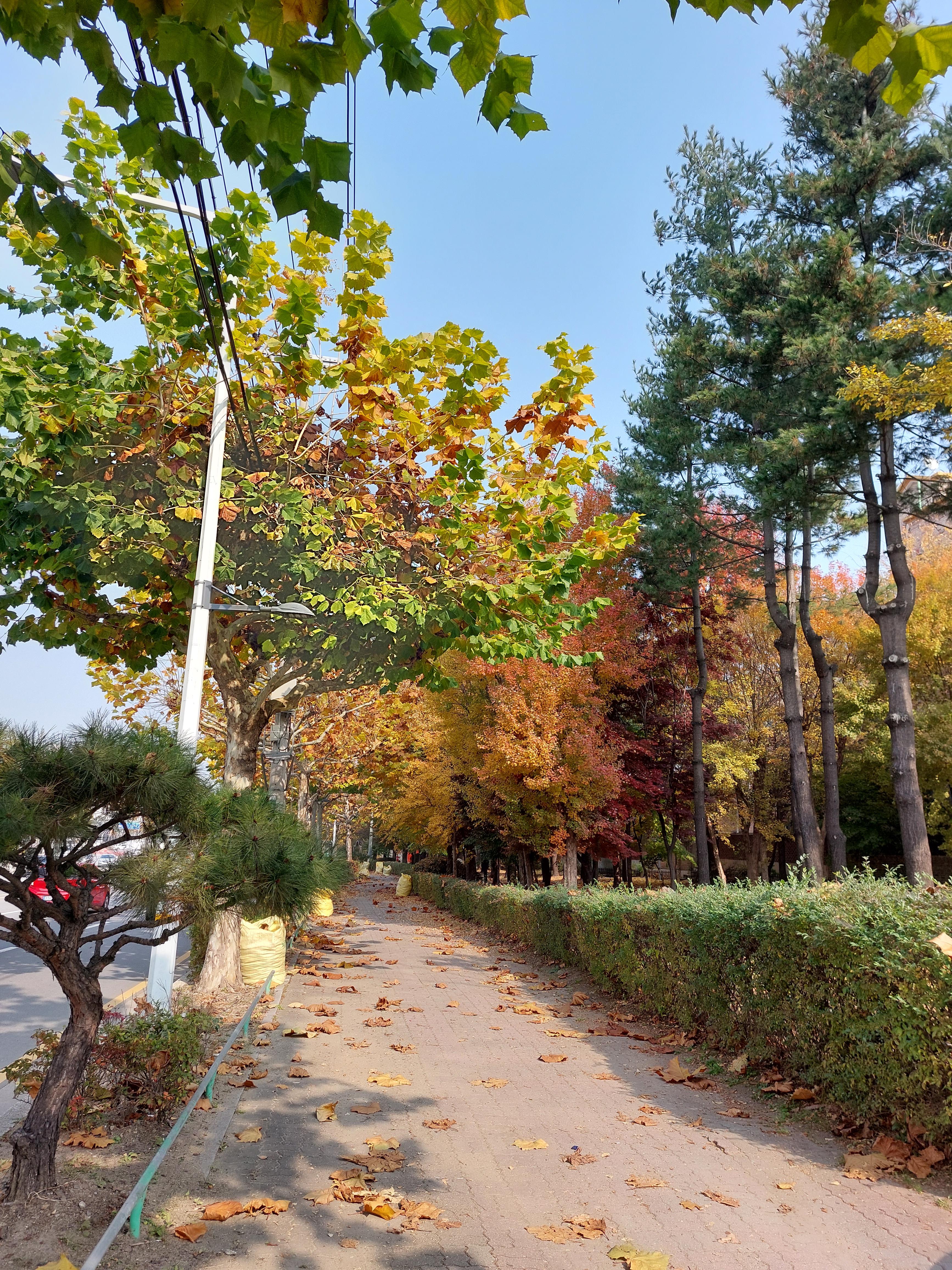 용암동 실거주자 사진 2
