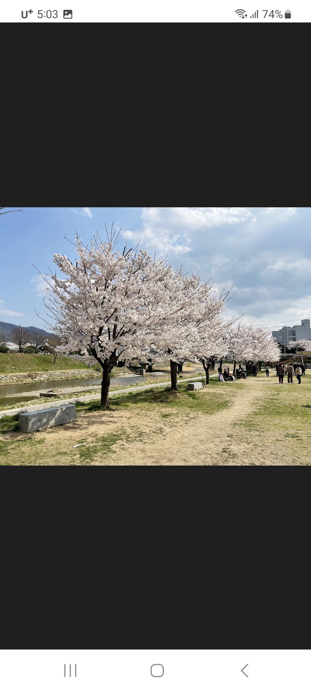 삼호동 실거주자 사진 3