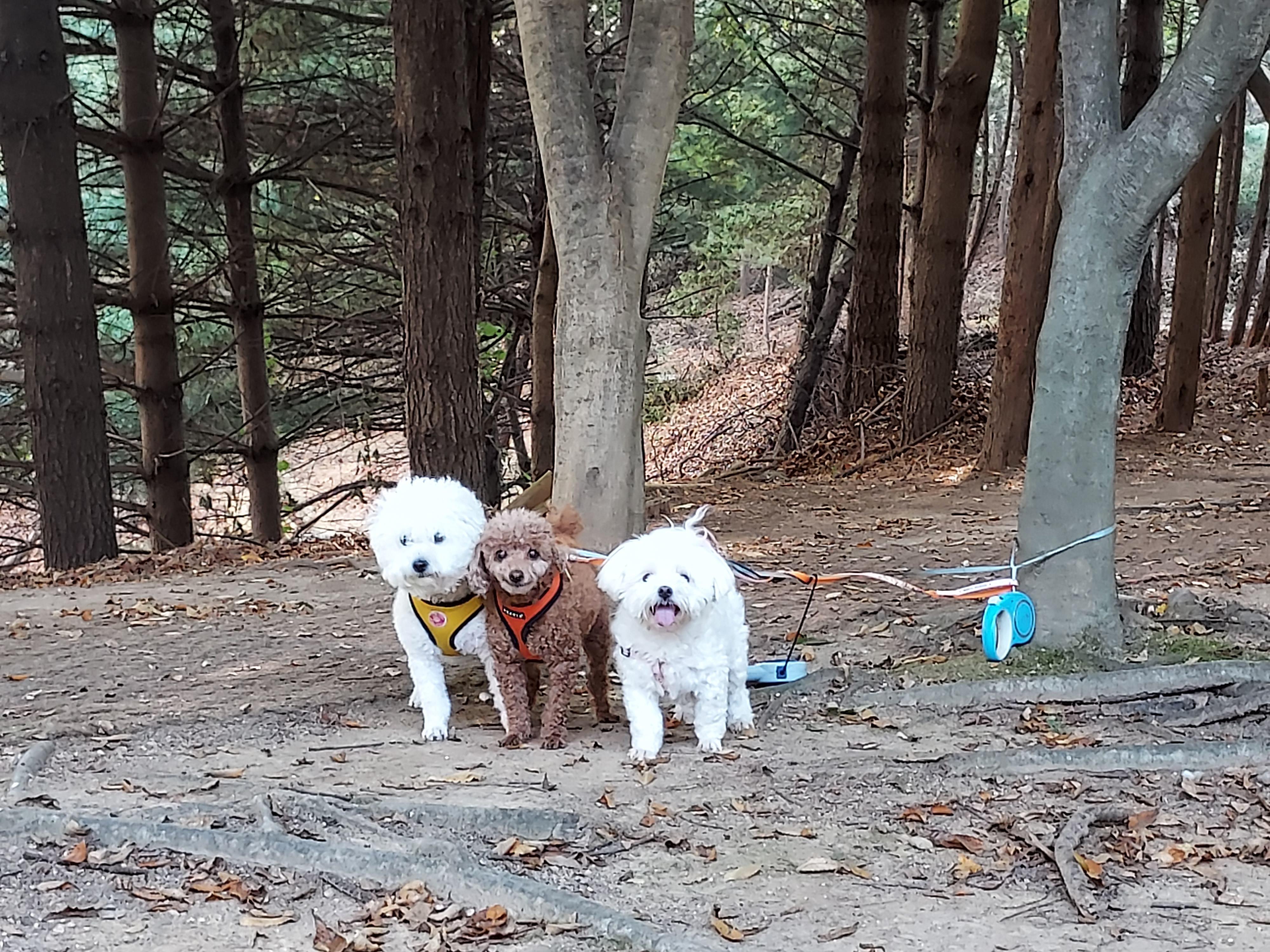 사동 실거주자 사진 3