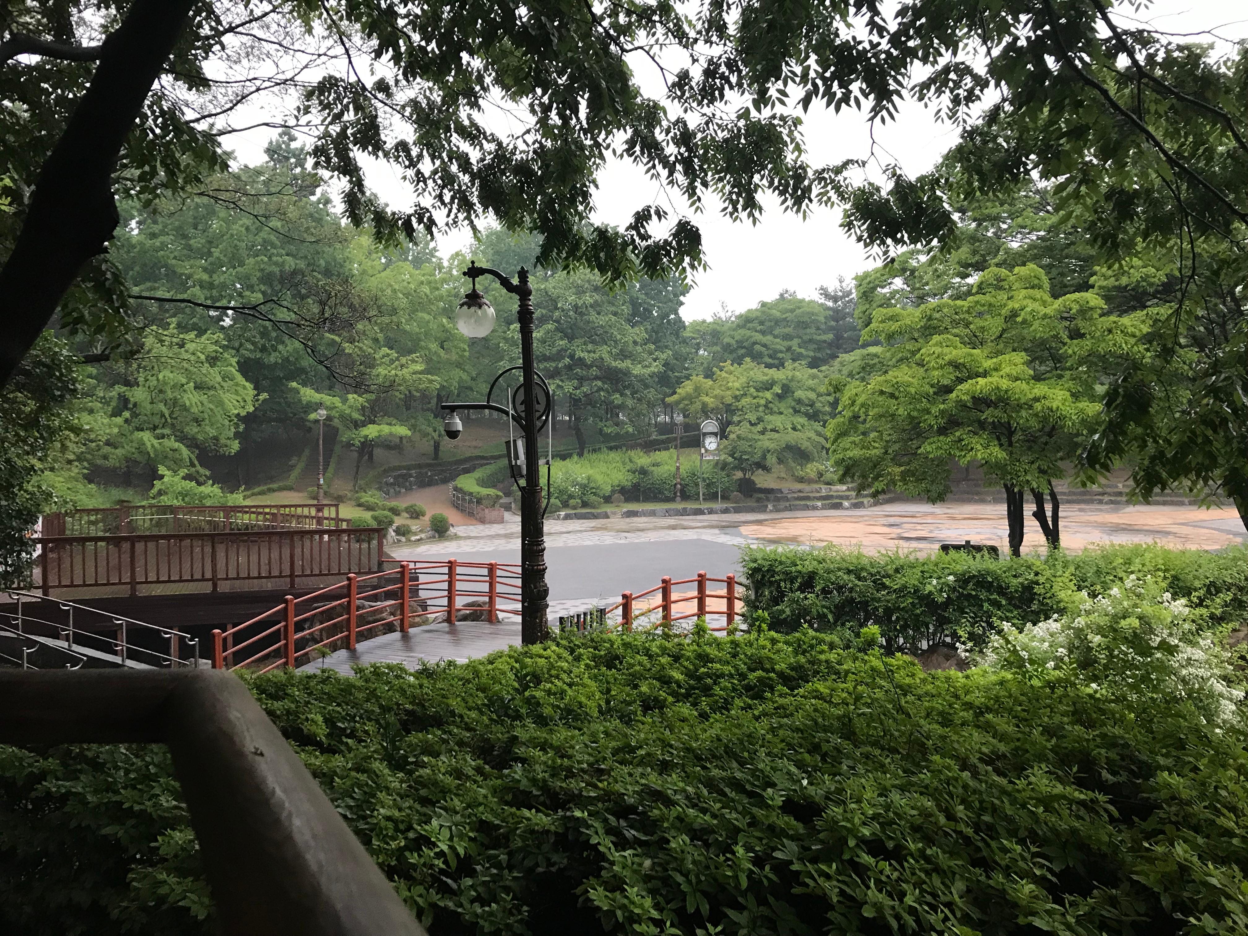 등촌동 실거주자 사진 1
