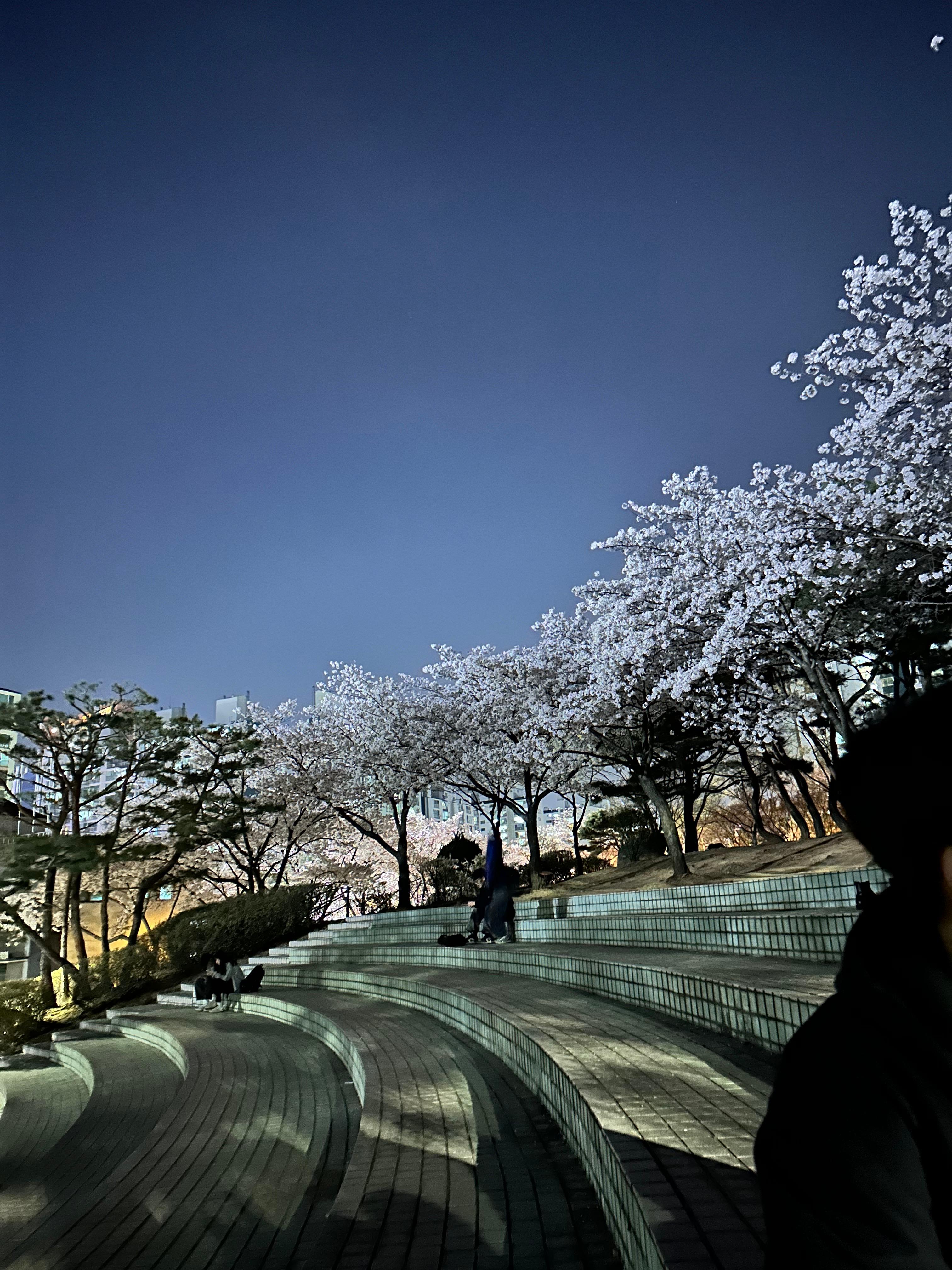 은행동 실거주자 사진 3