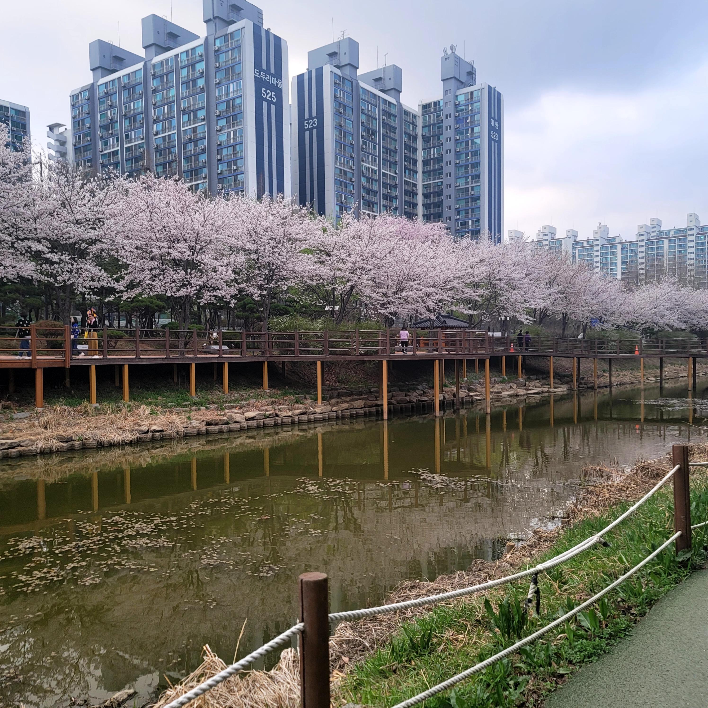 임학동 실거주자 사진 1