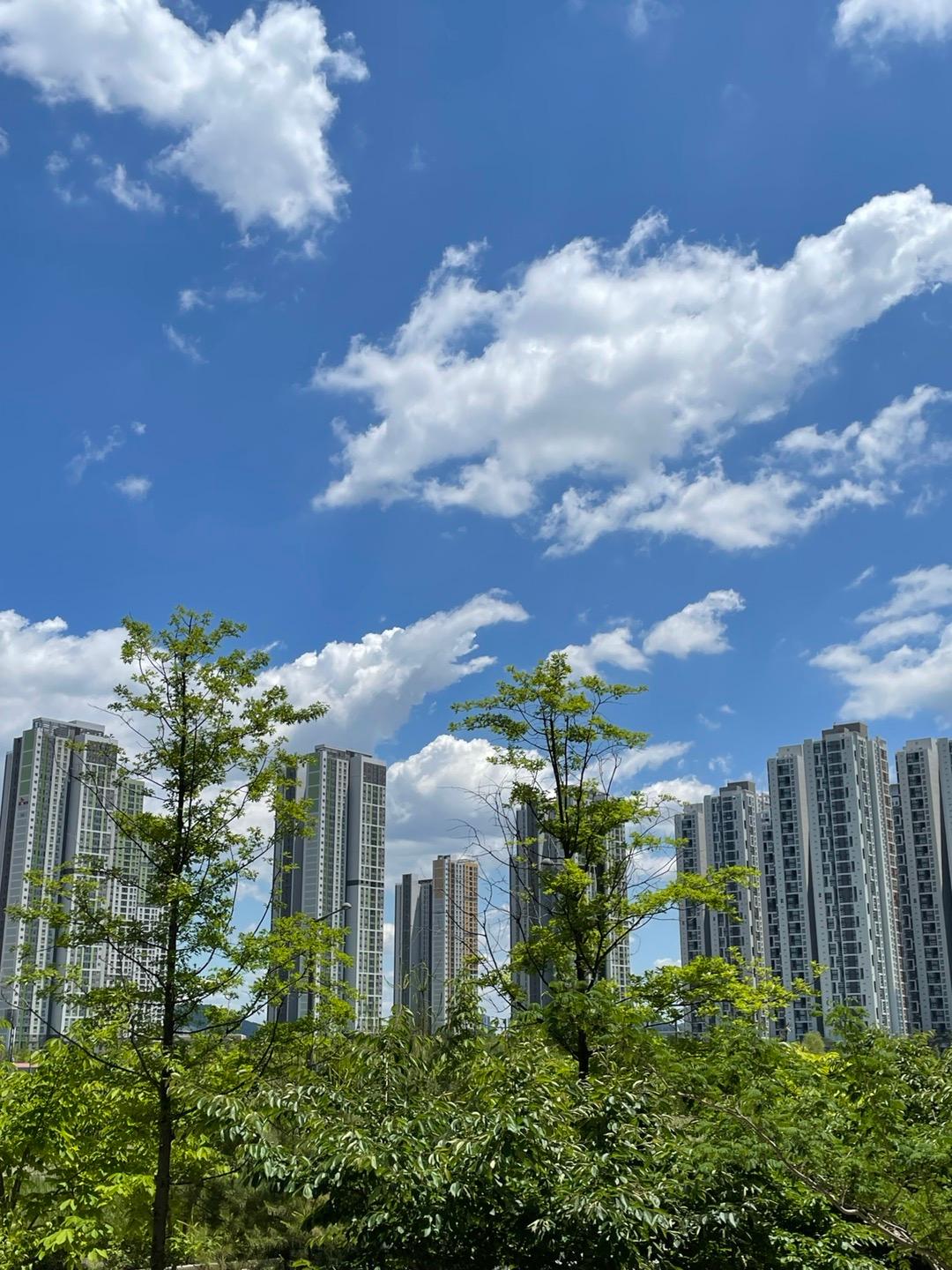 심곡본동 실거주자 사진 1