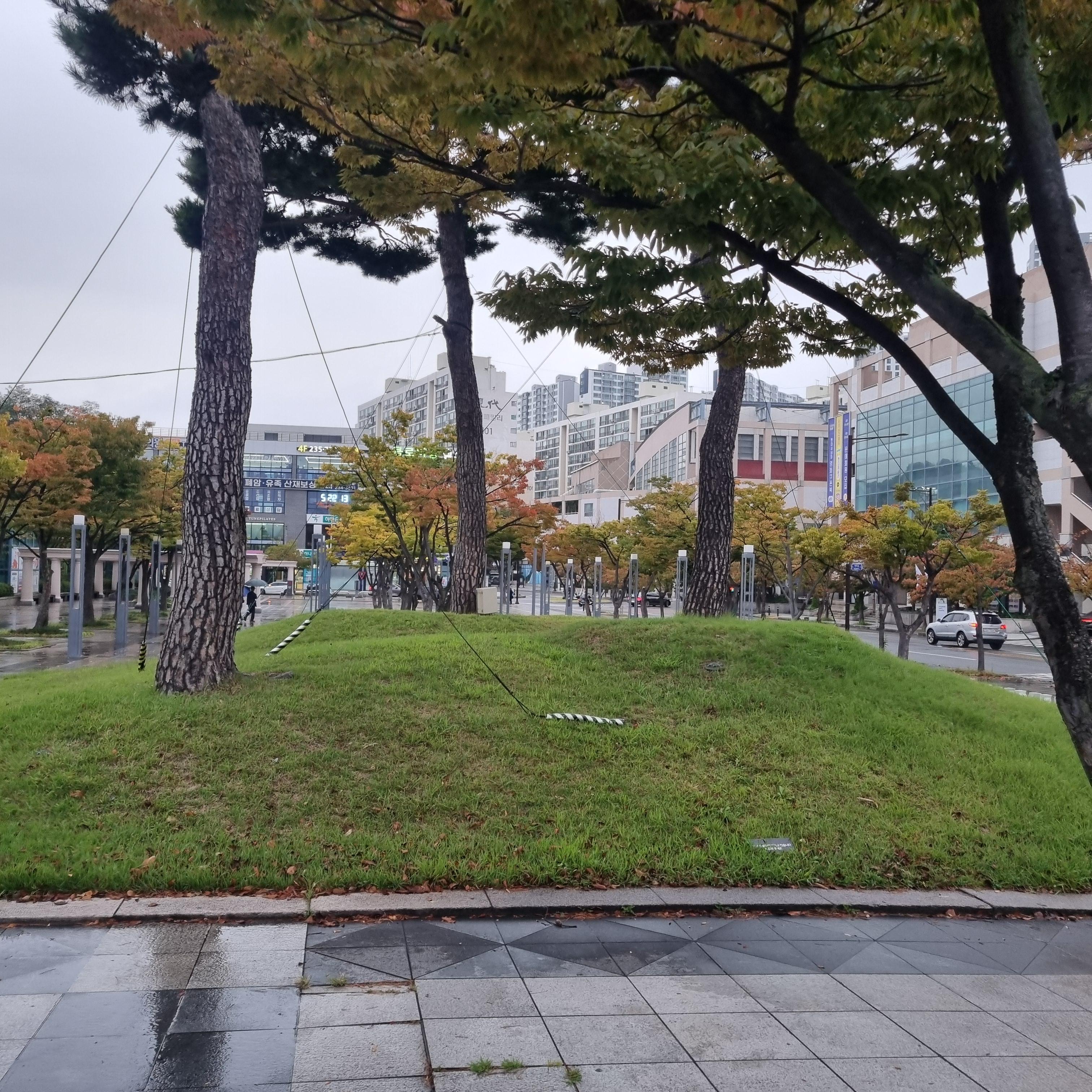 서부동 실거주자 사진 2