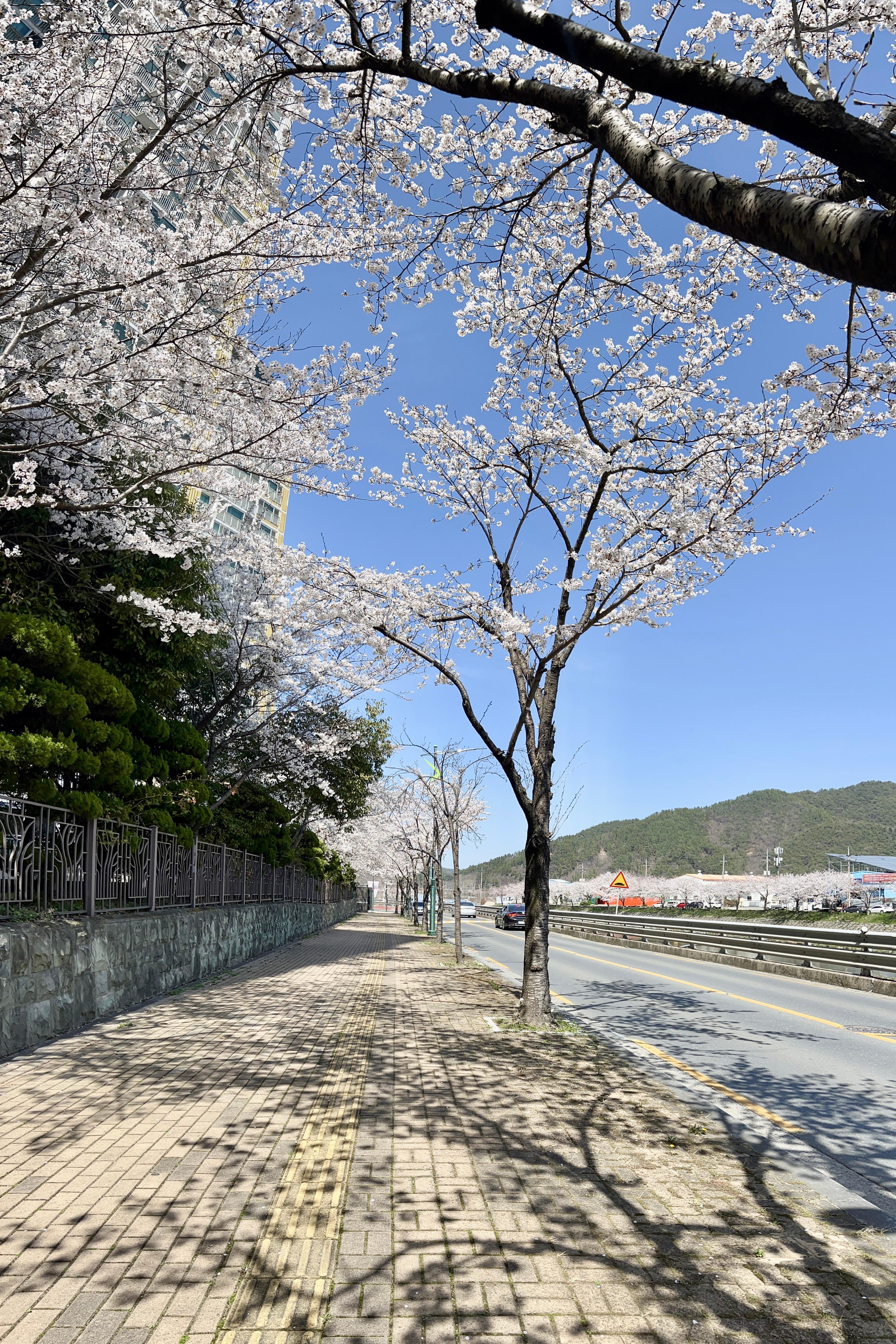 칠원읍 실거주자 사진 2