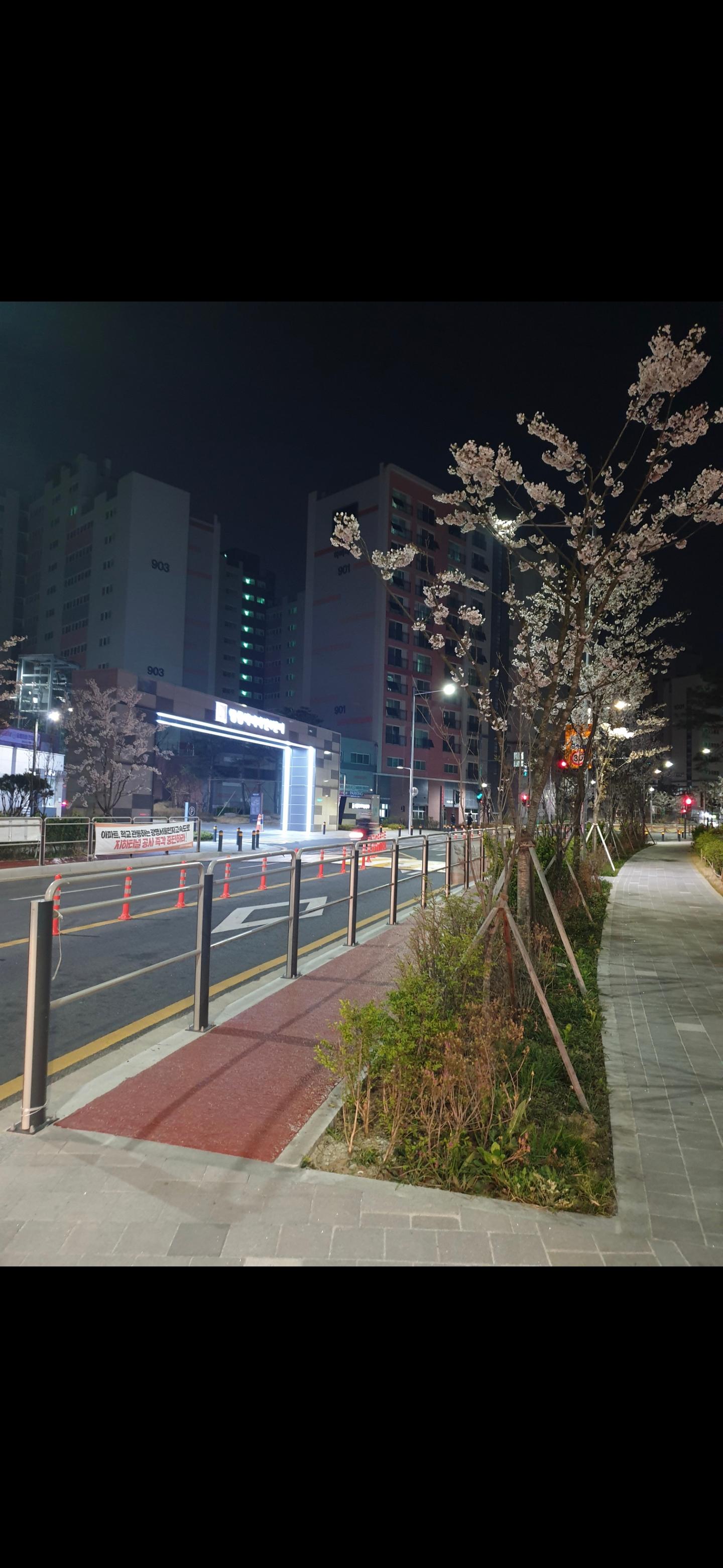 항동 실거주자 사진 6