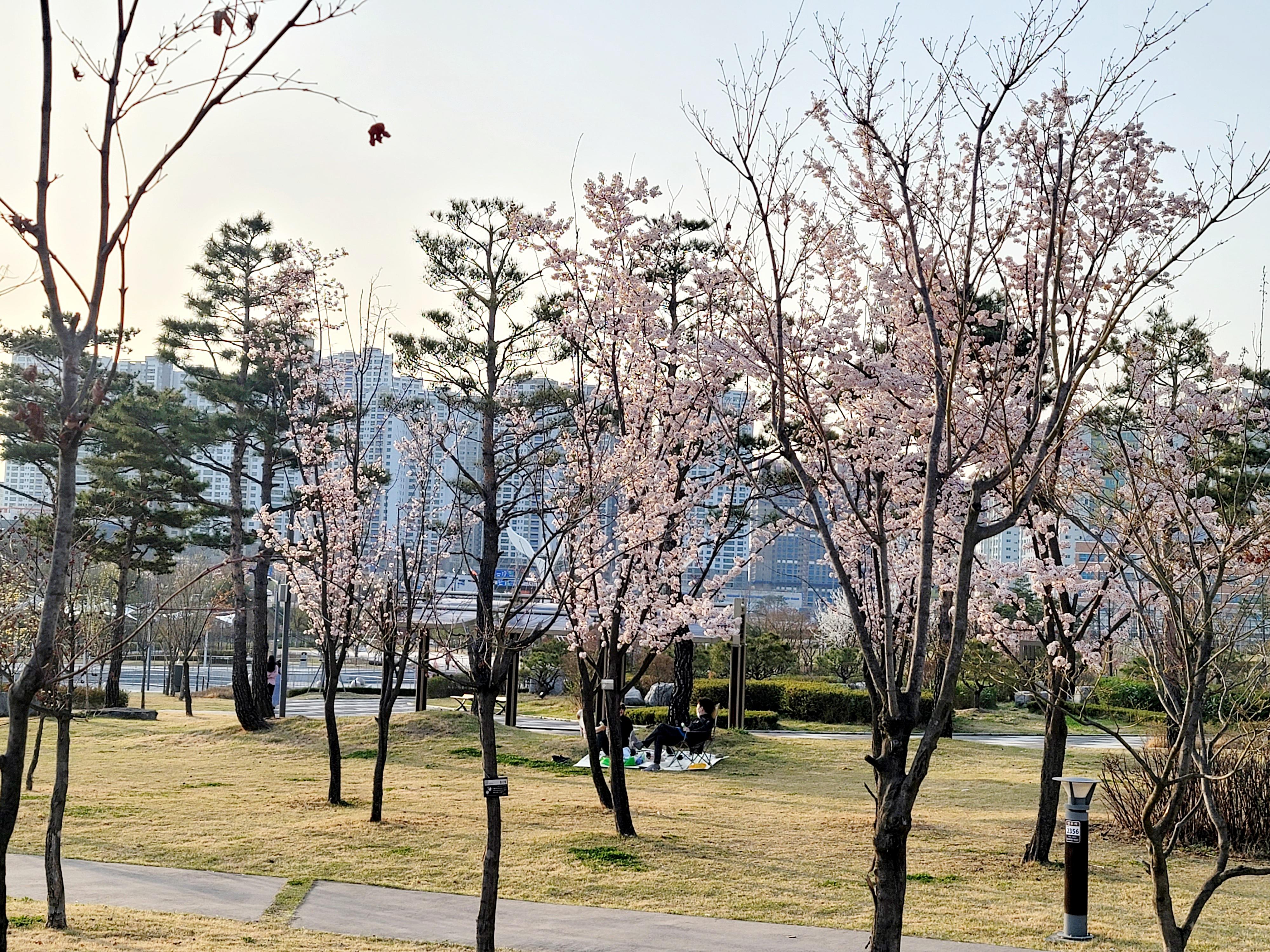 광사동 실거주자 사진 1