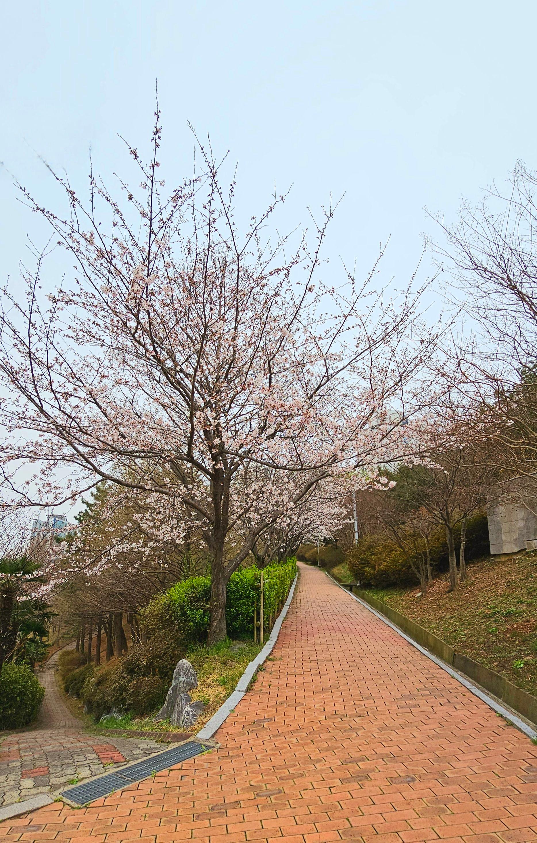 사직동 실거주자 사진 1