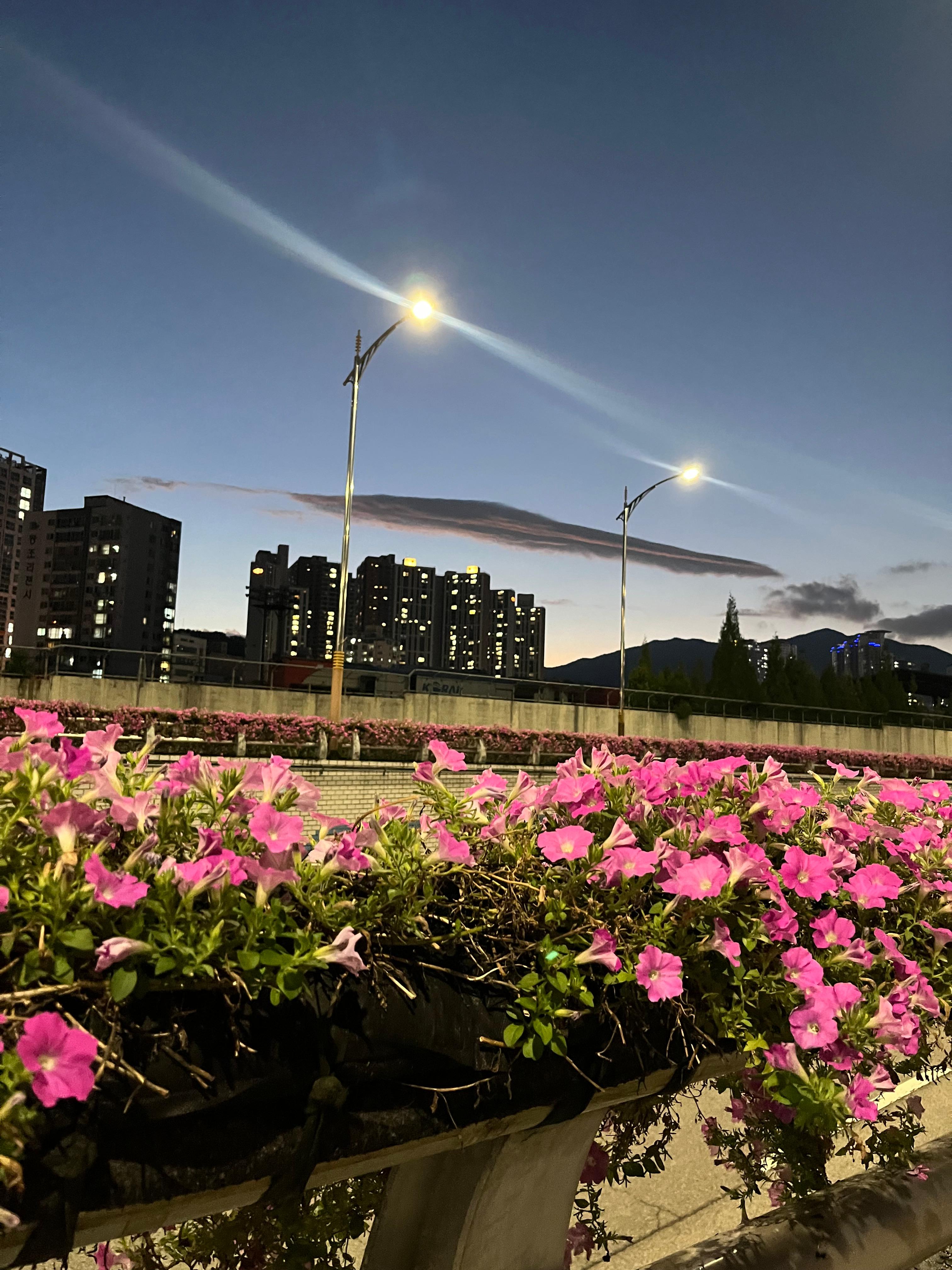 범천동 실거주자 사진 1