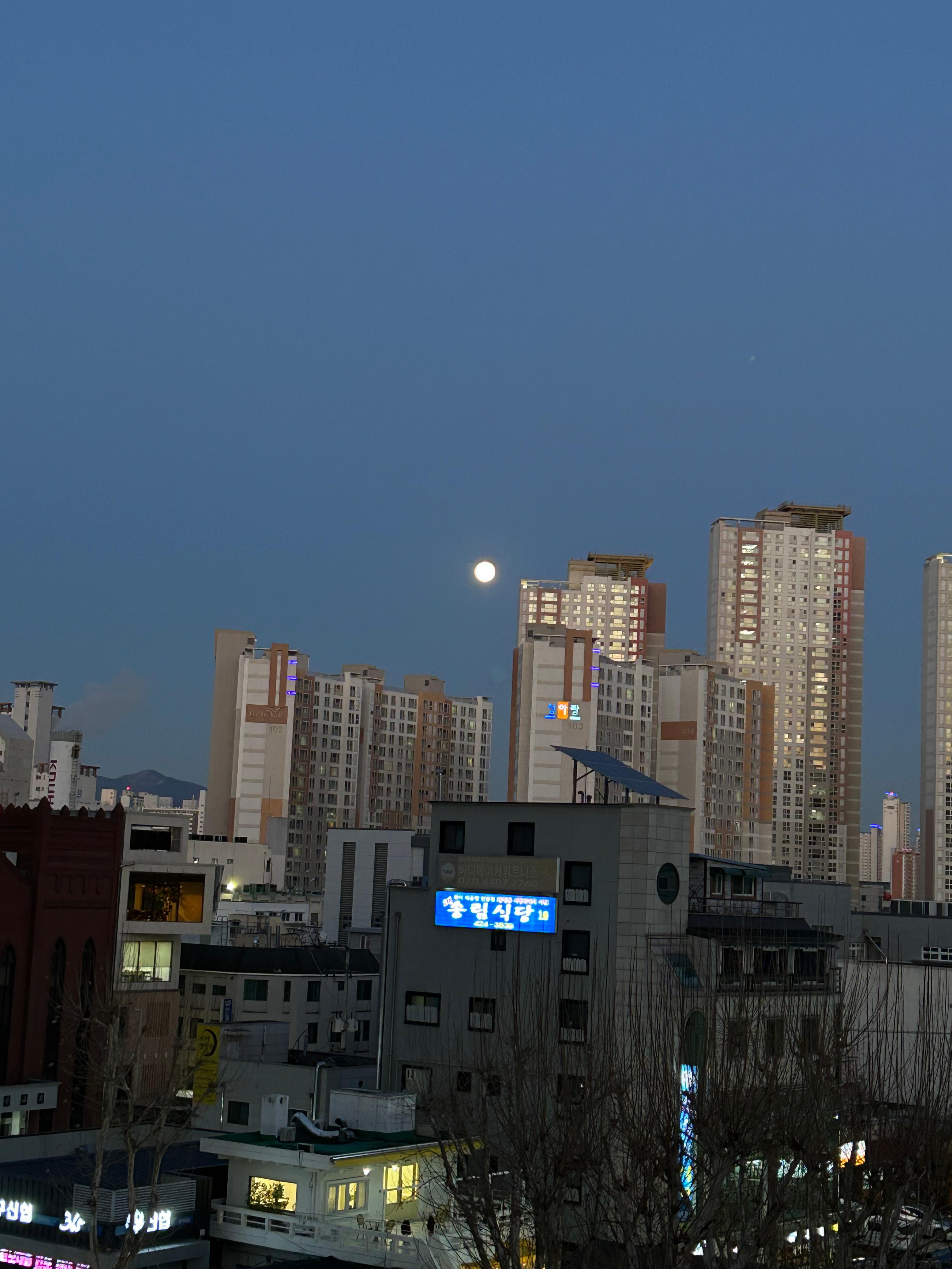 본동 실거주자 사진 2