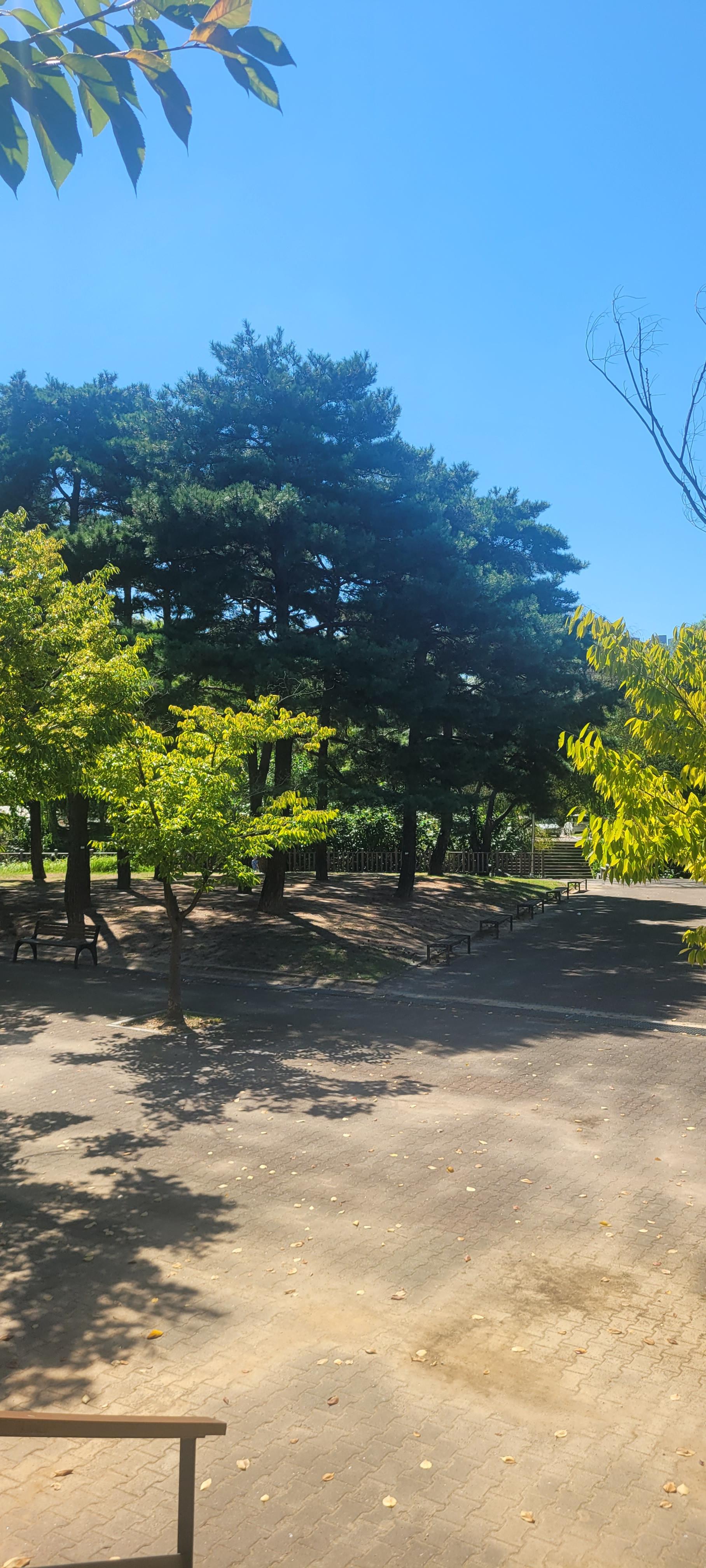 정자동 실거주자 사진 2