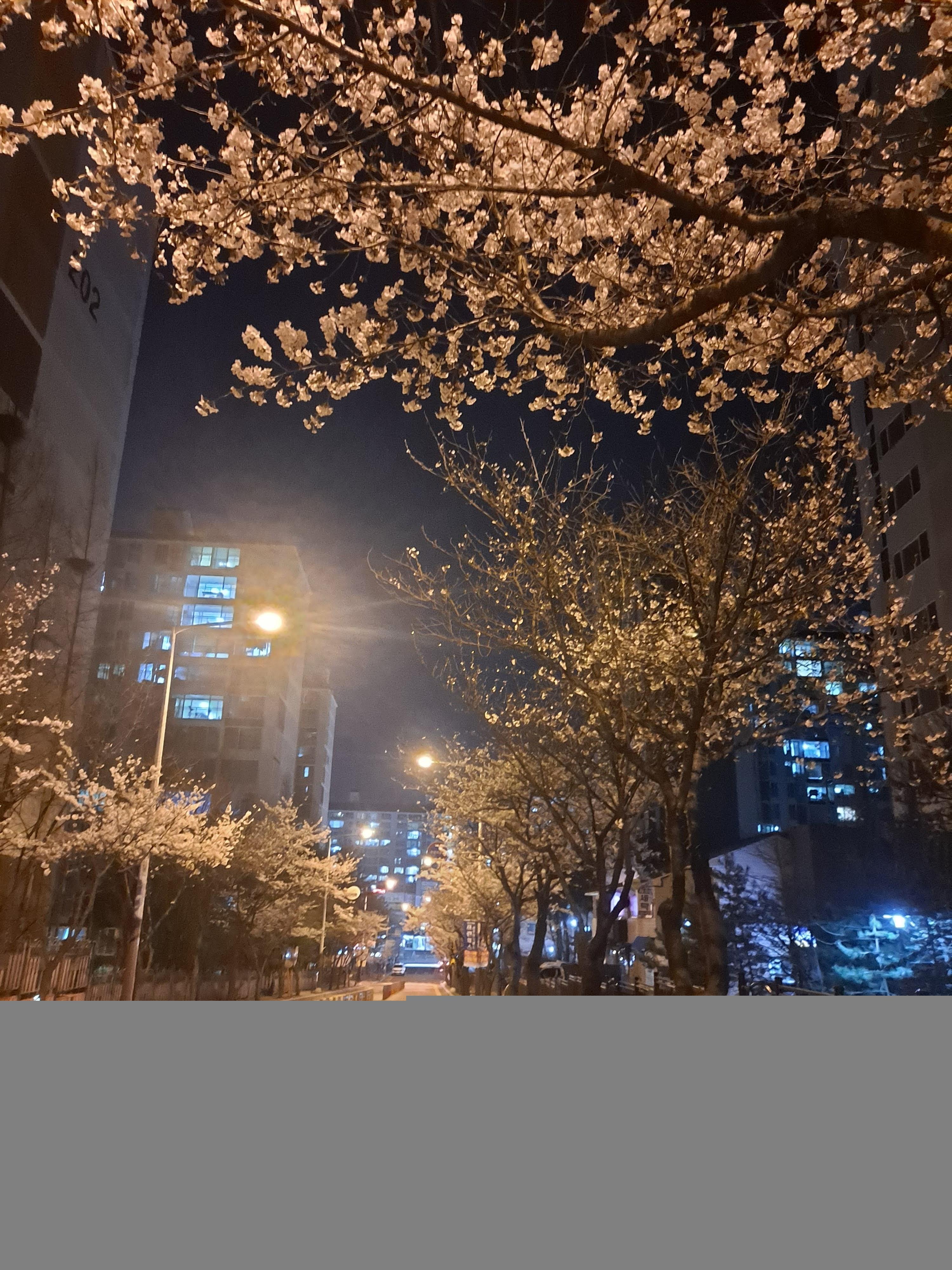 삼숭동 실거주자 사진 3