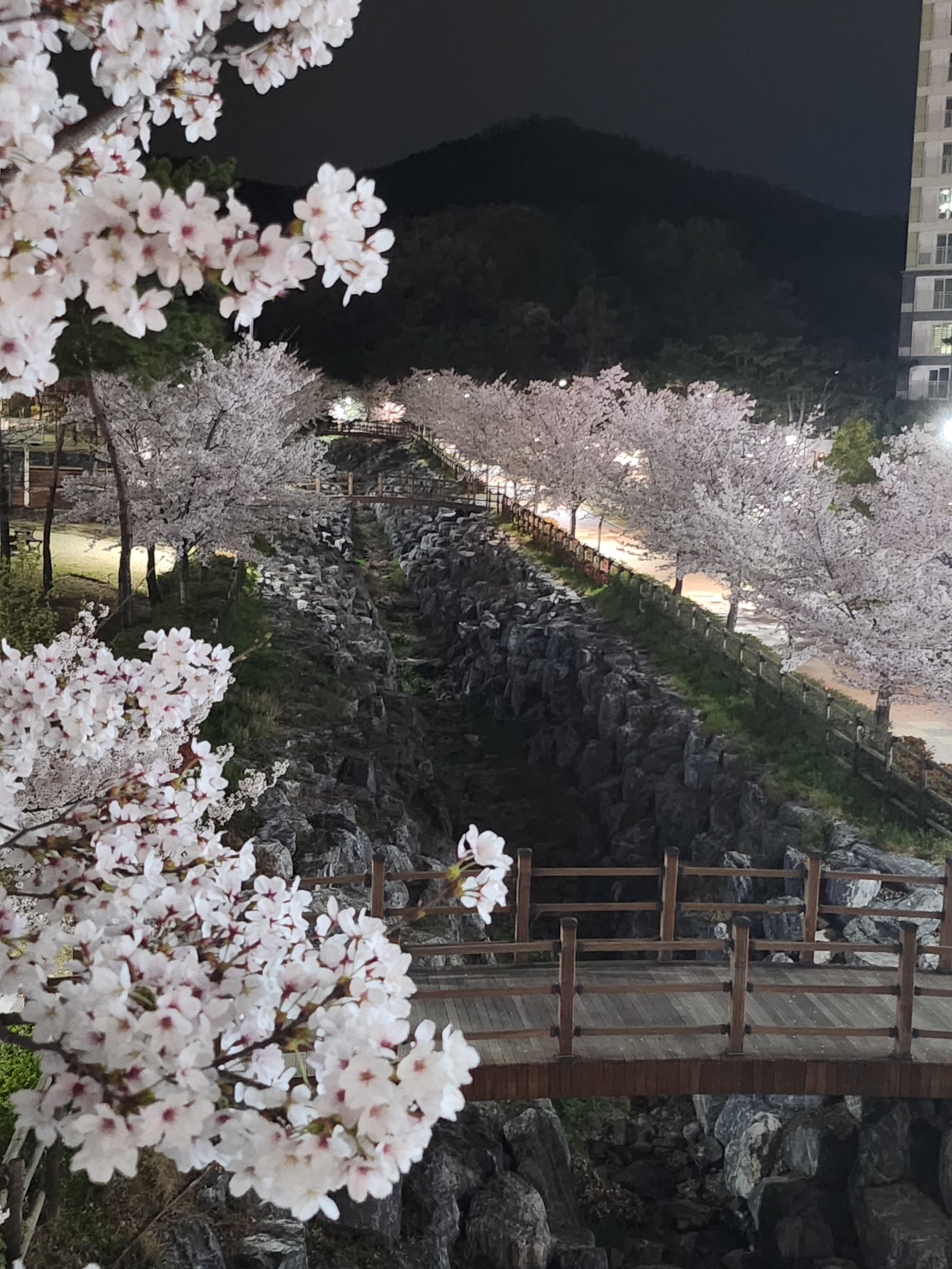 사수동 실거주자 사진 2