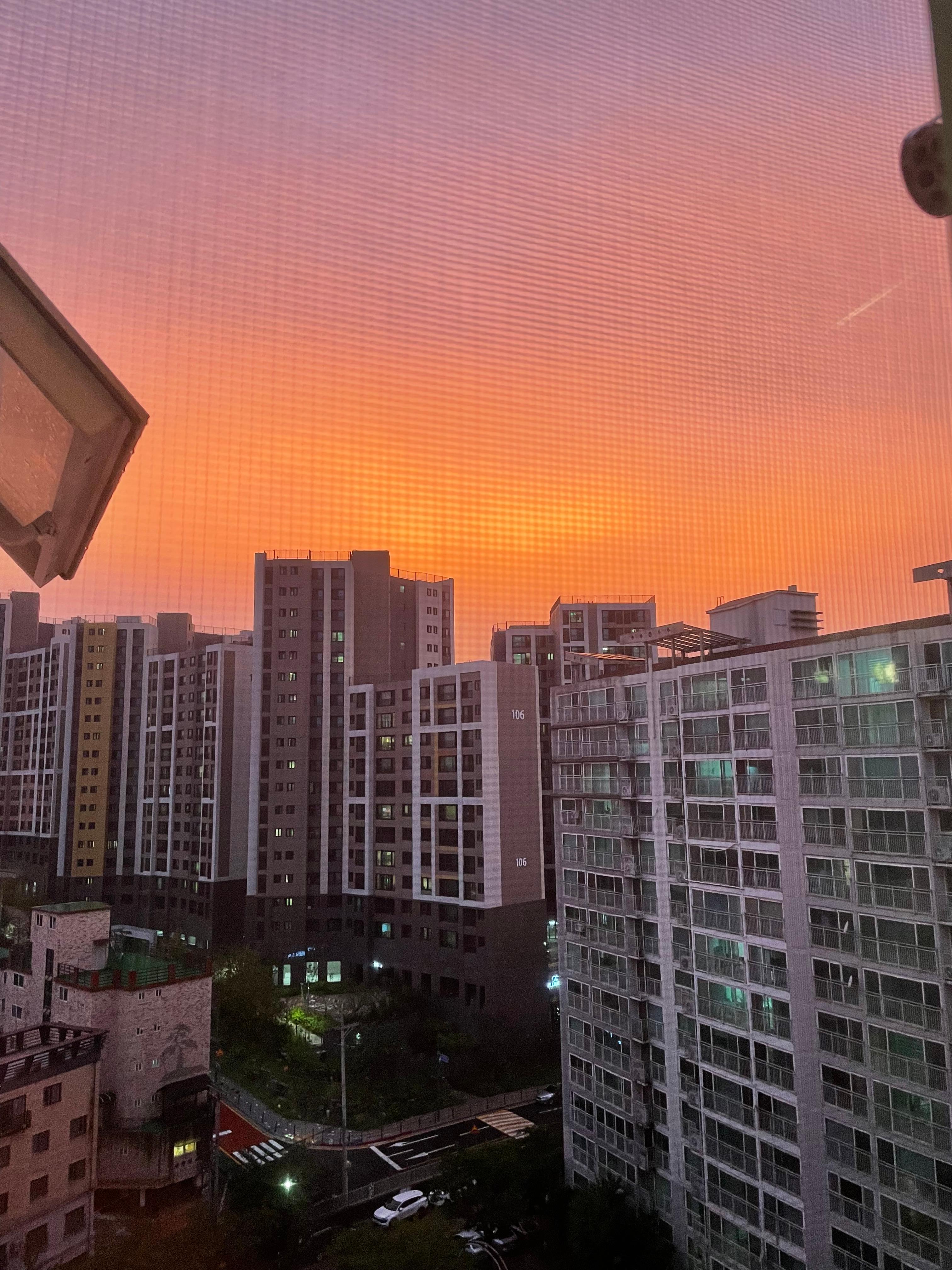 오목천동 실거주자 사진 6