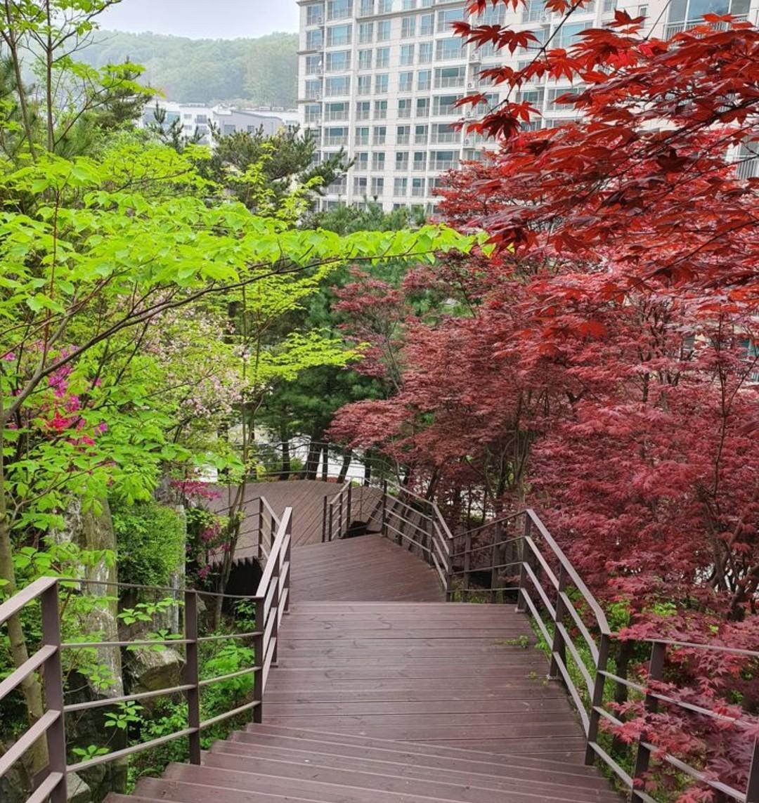 능평동 실거주자 사진 1