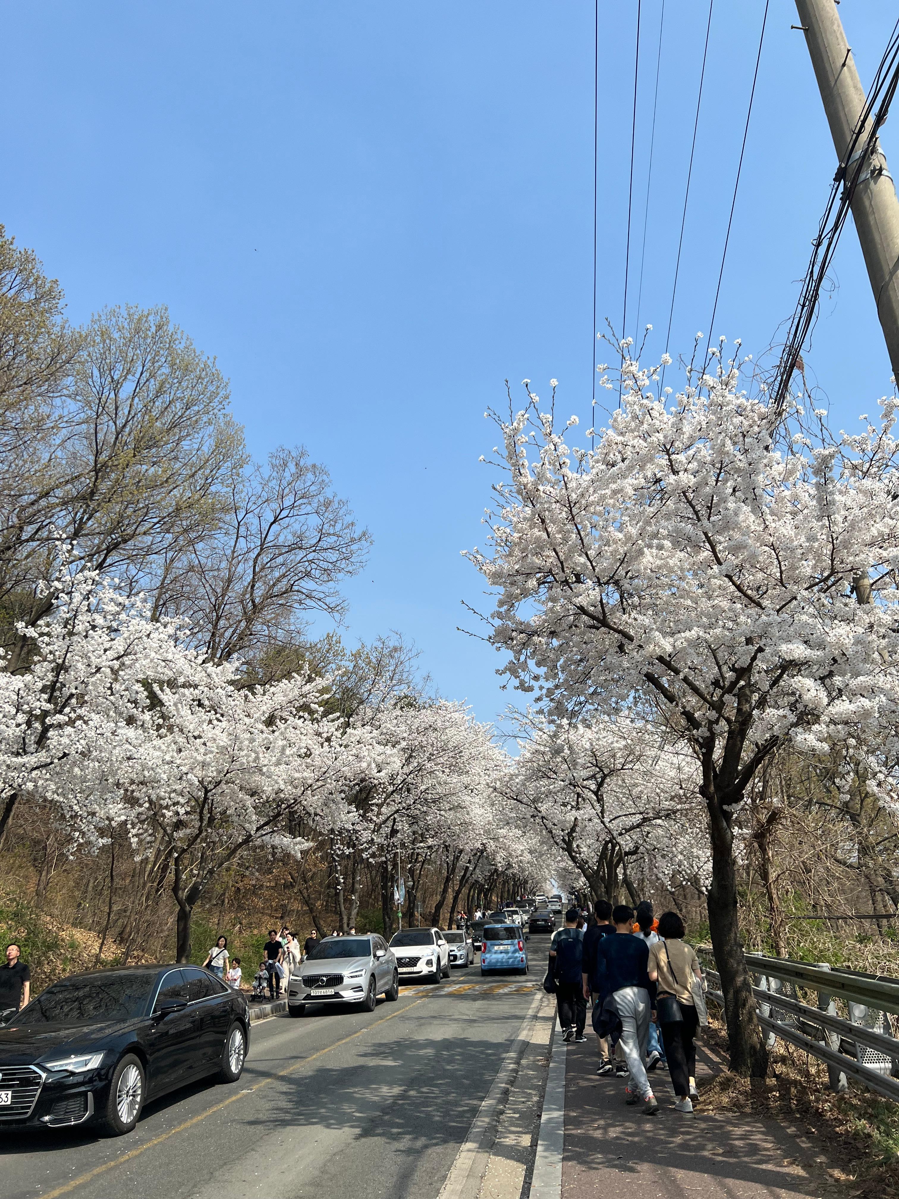 지산동 실거주자 사진 1