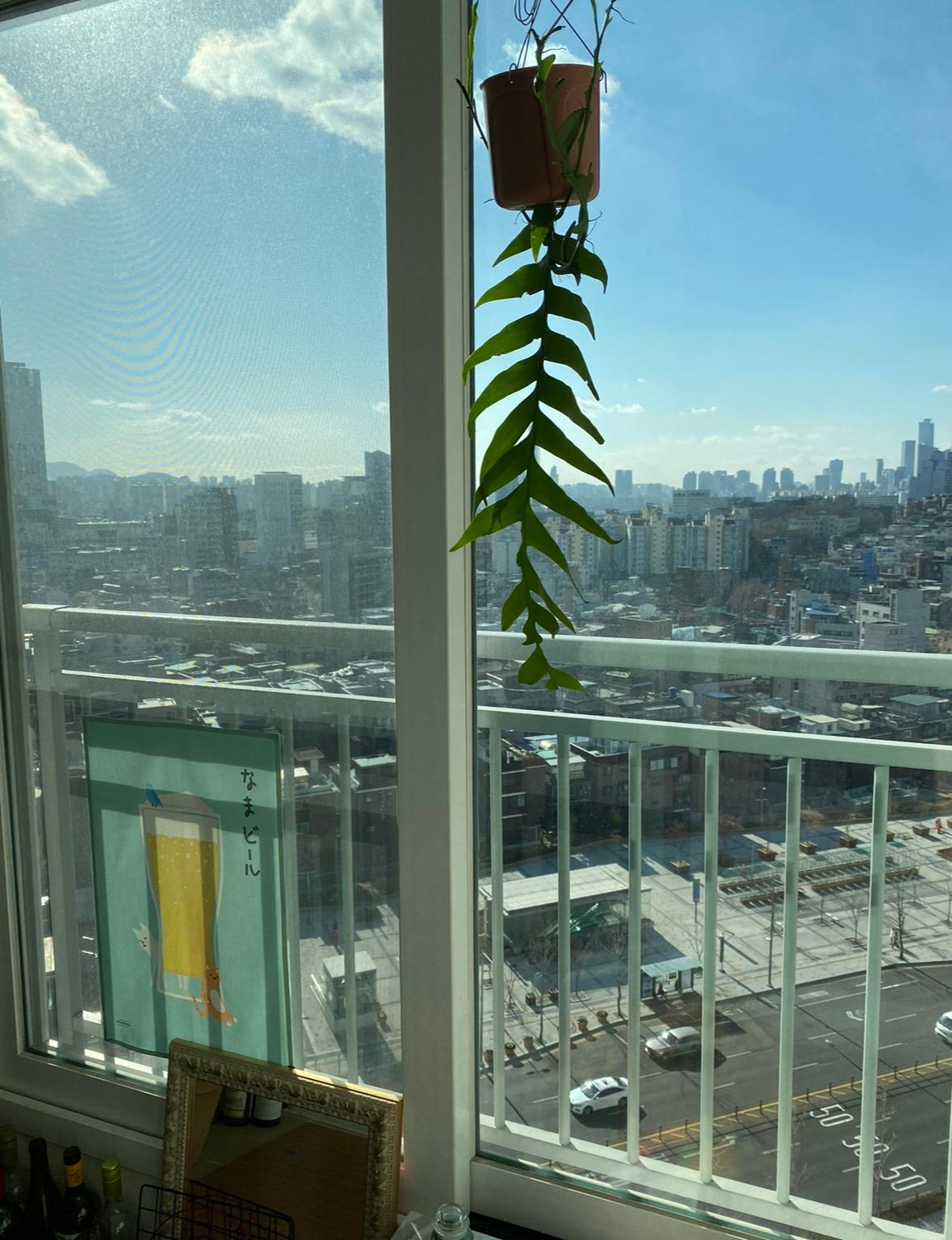 효창동 실거주자 사진 2