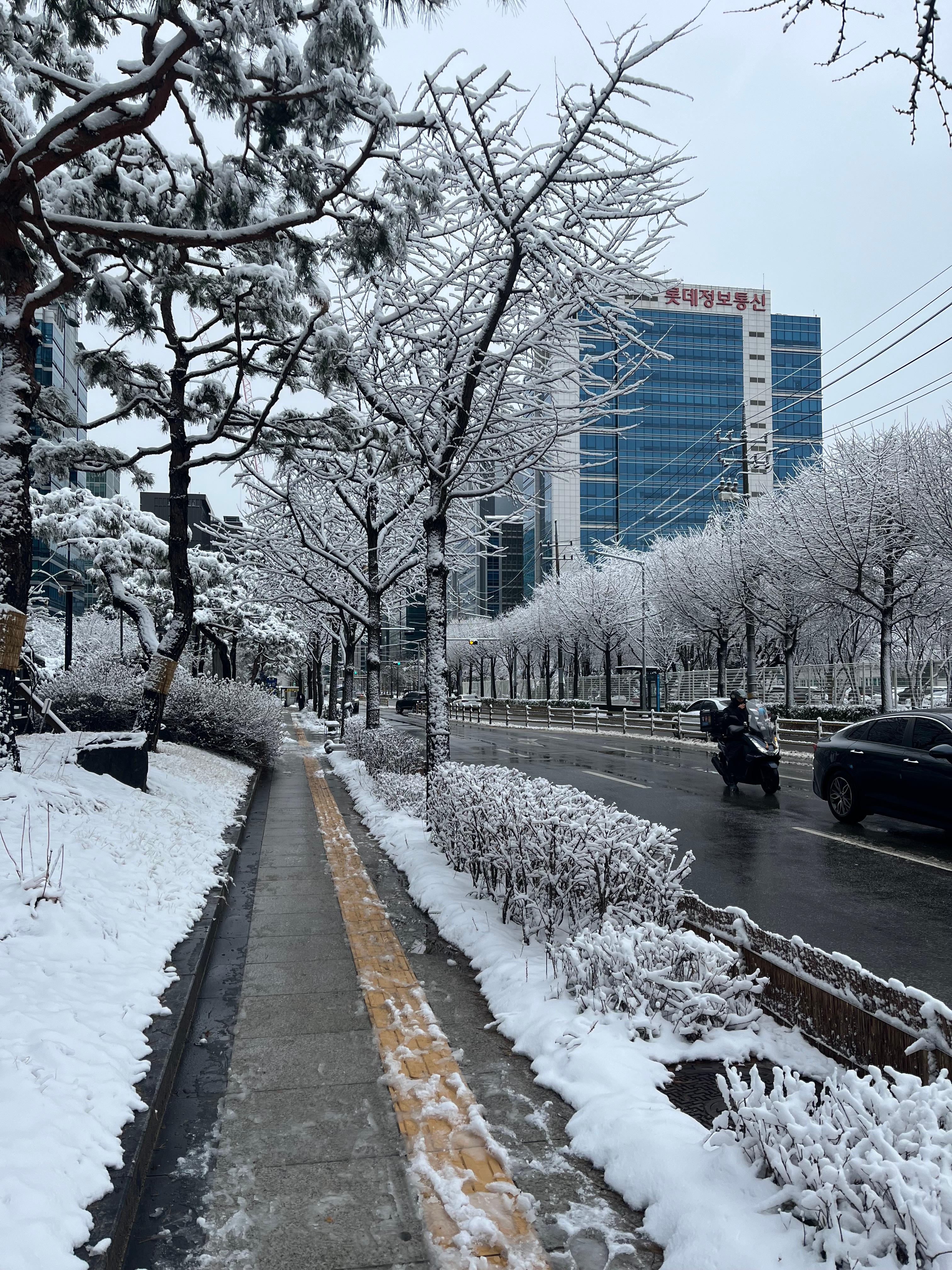 철산동 실거주자 사진 1