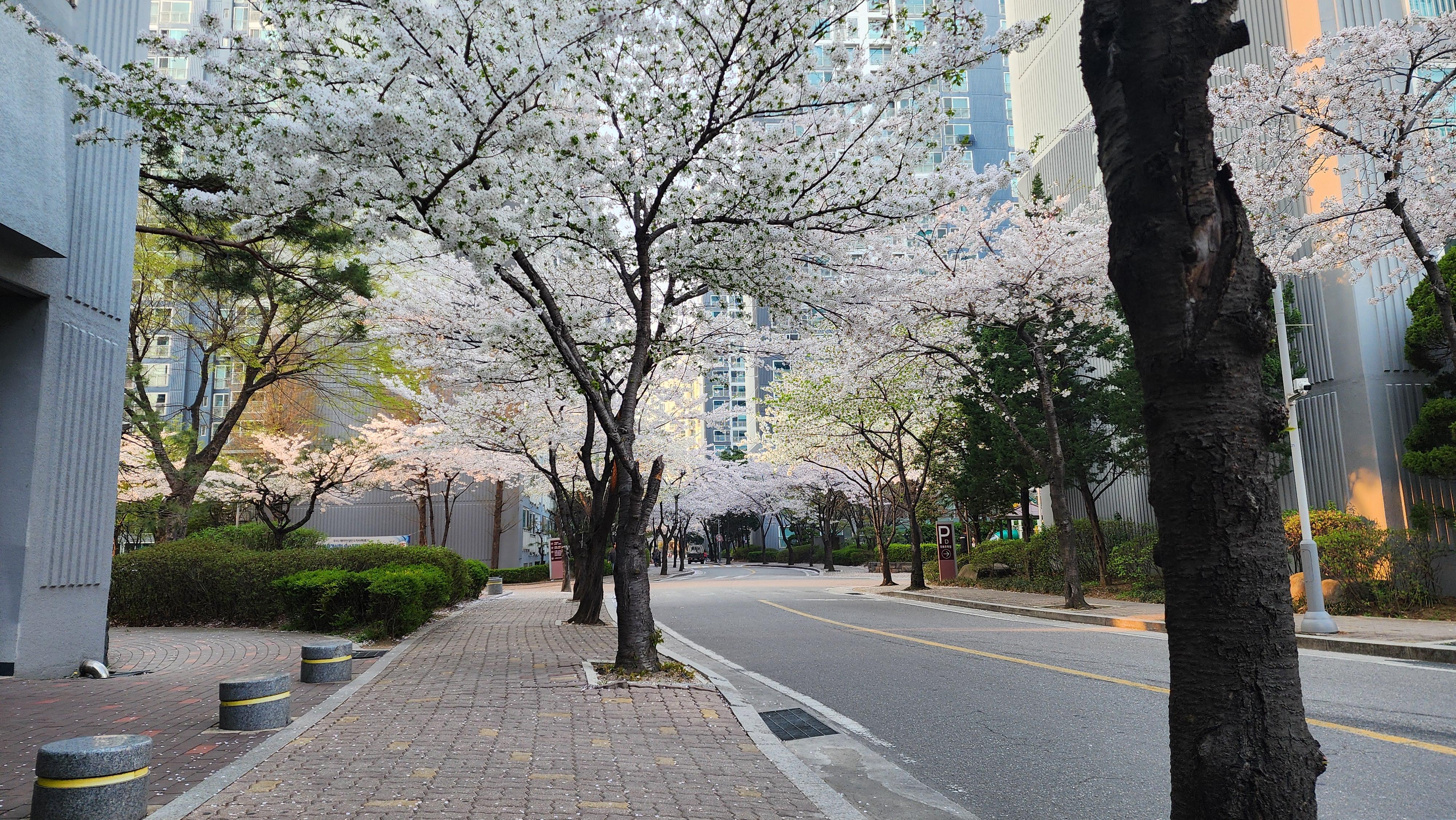 장안동 실거주자 사진 1