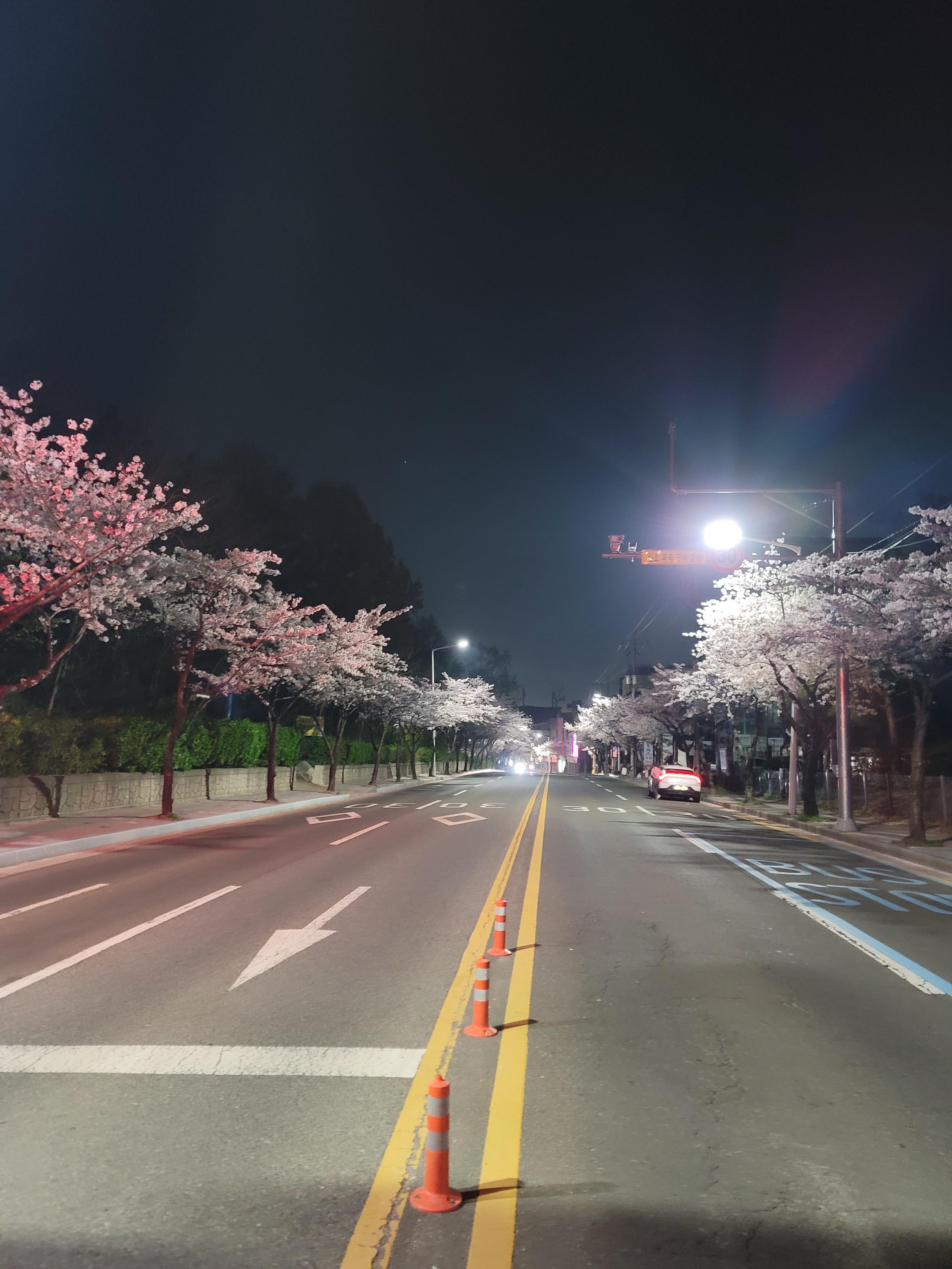양덕동 실거주자 사진 2
