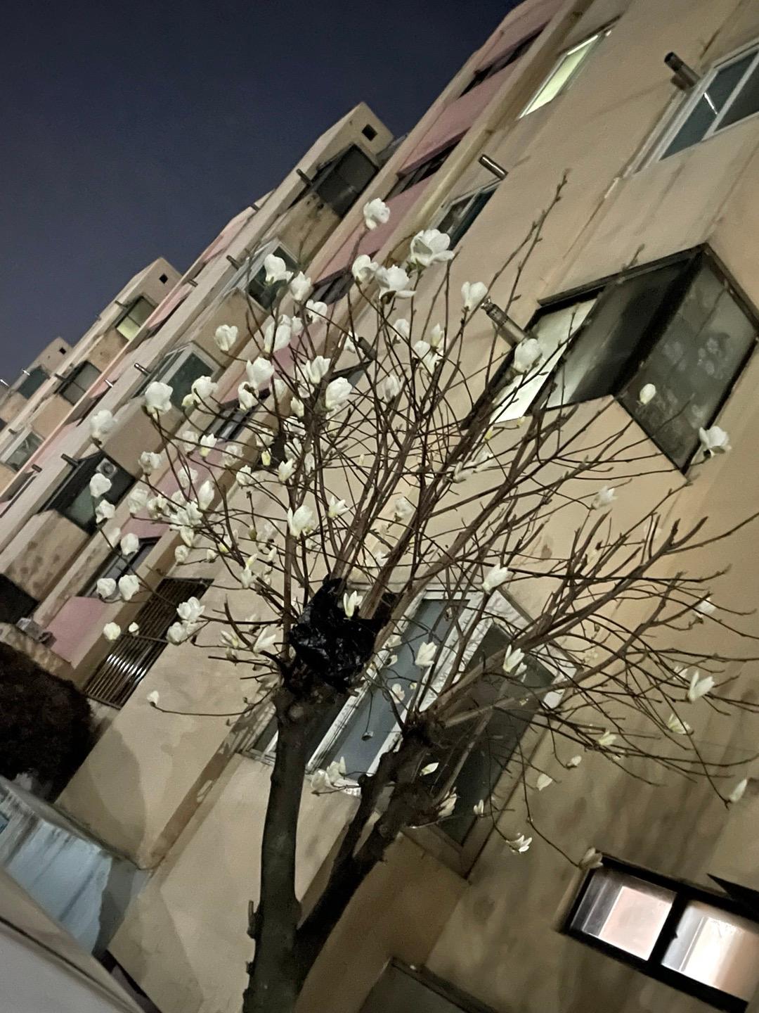 산격동 실거주자 사진 6