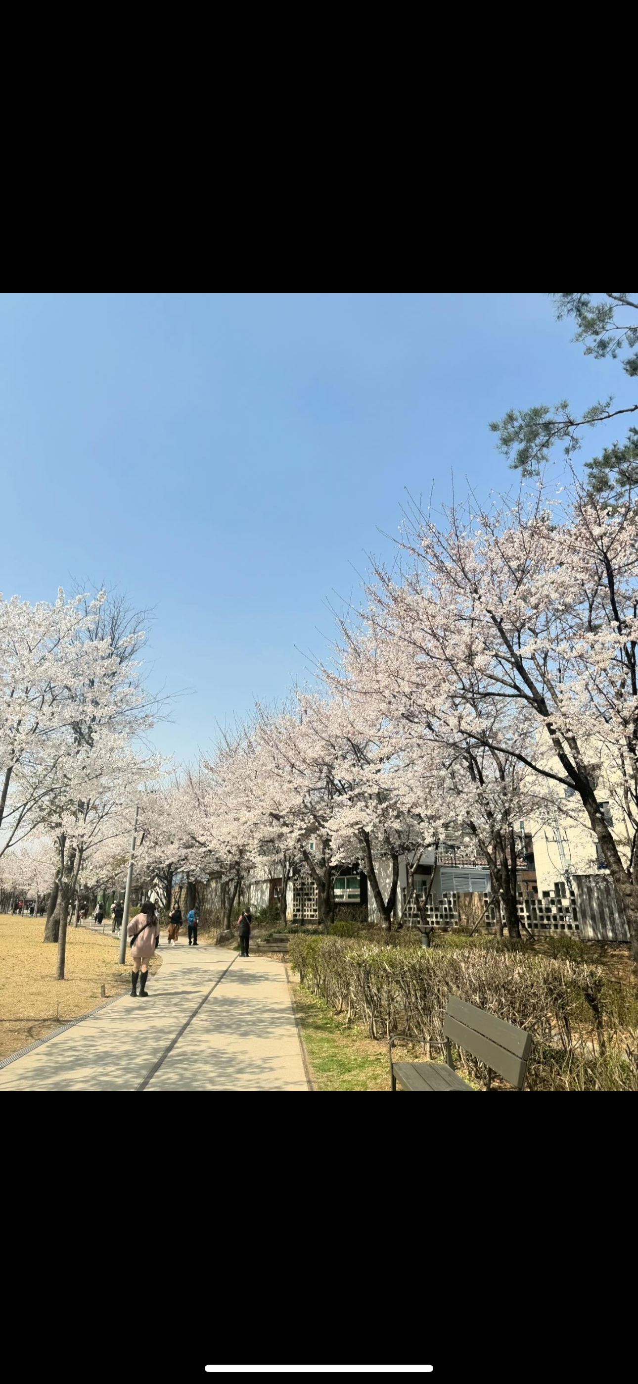호계동 실거주자 사진 2