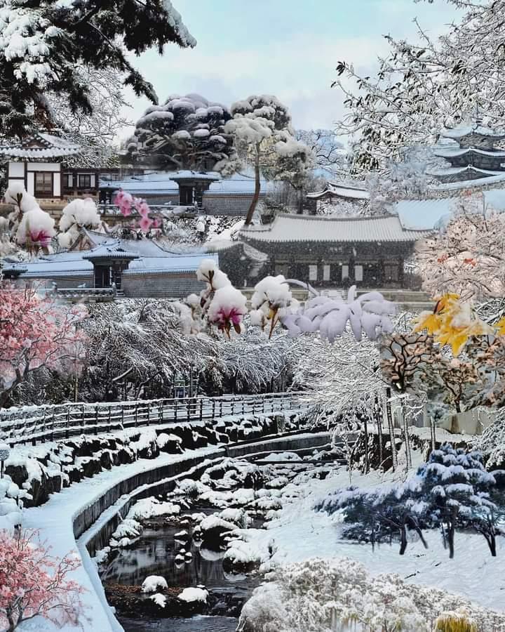 두암동 실거주자 사진 1