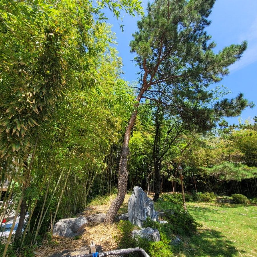 산격동 실거주자 사진 1
