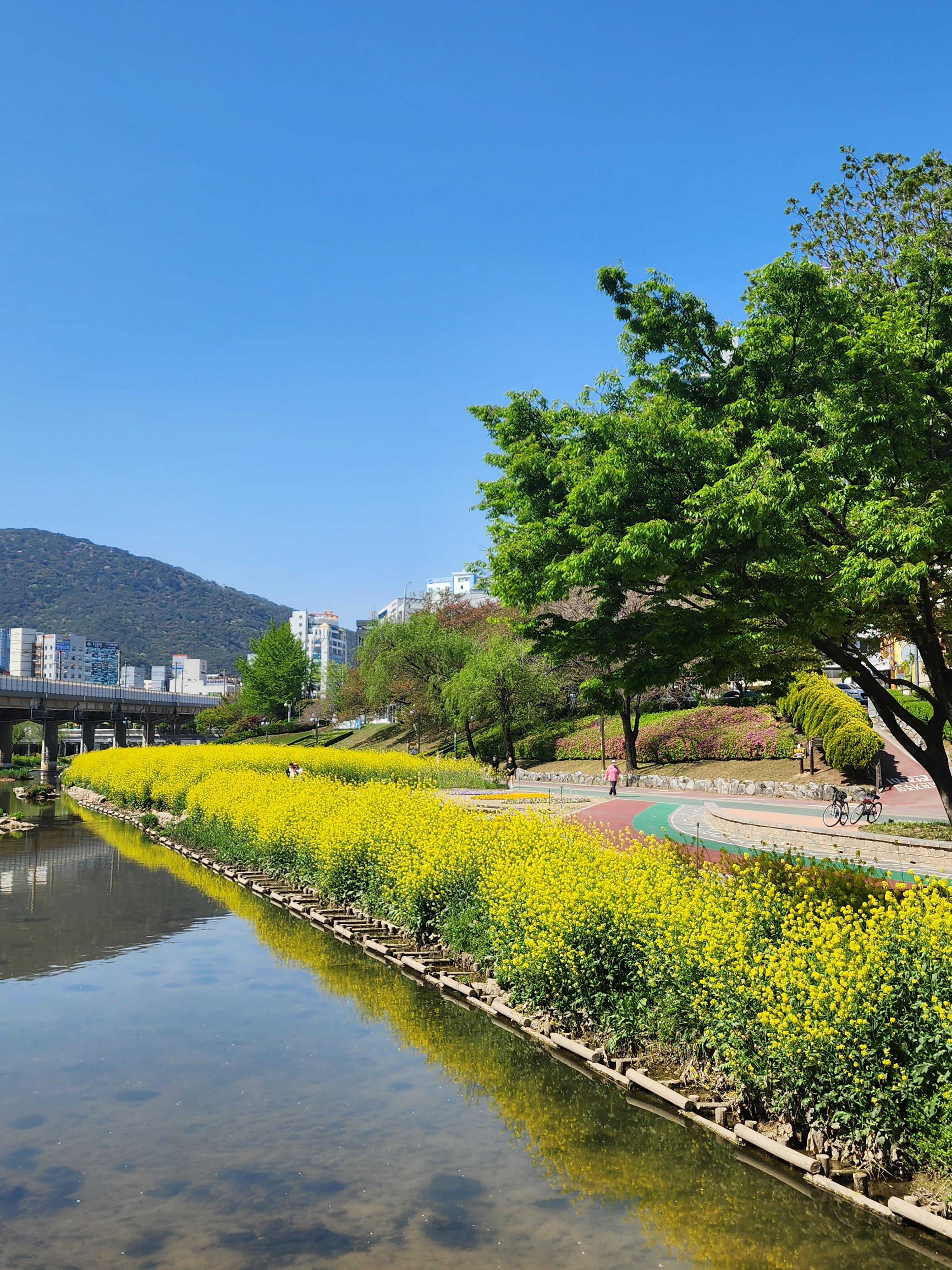 명륜동 실거주자 사진 2