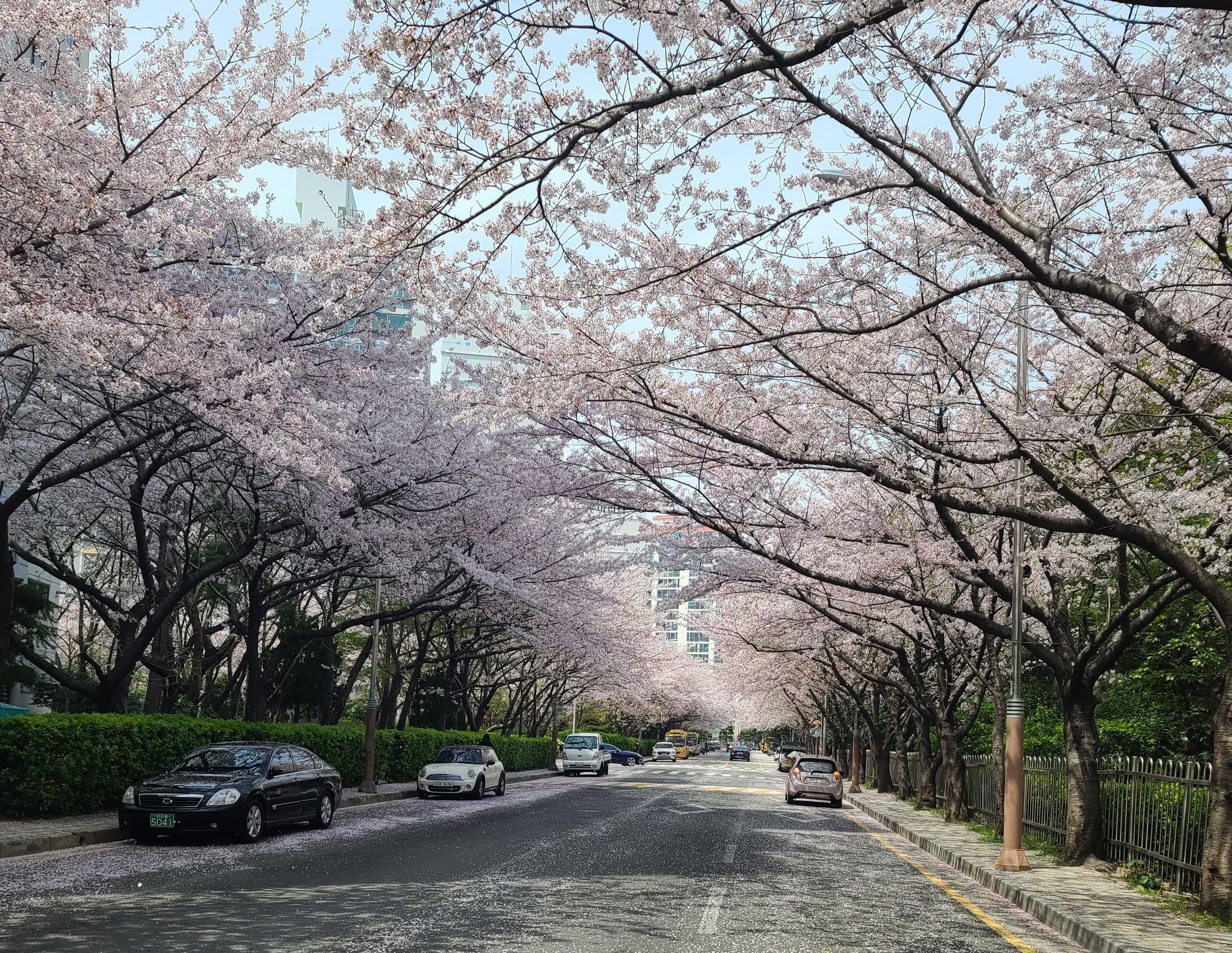 우동 실거주자 사진 1
