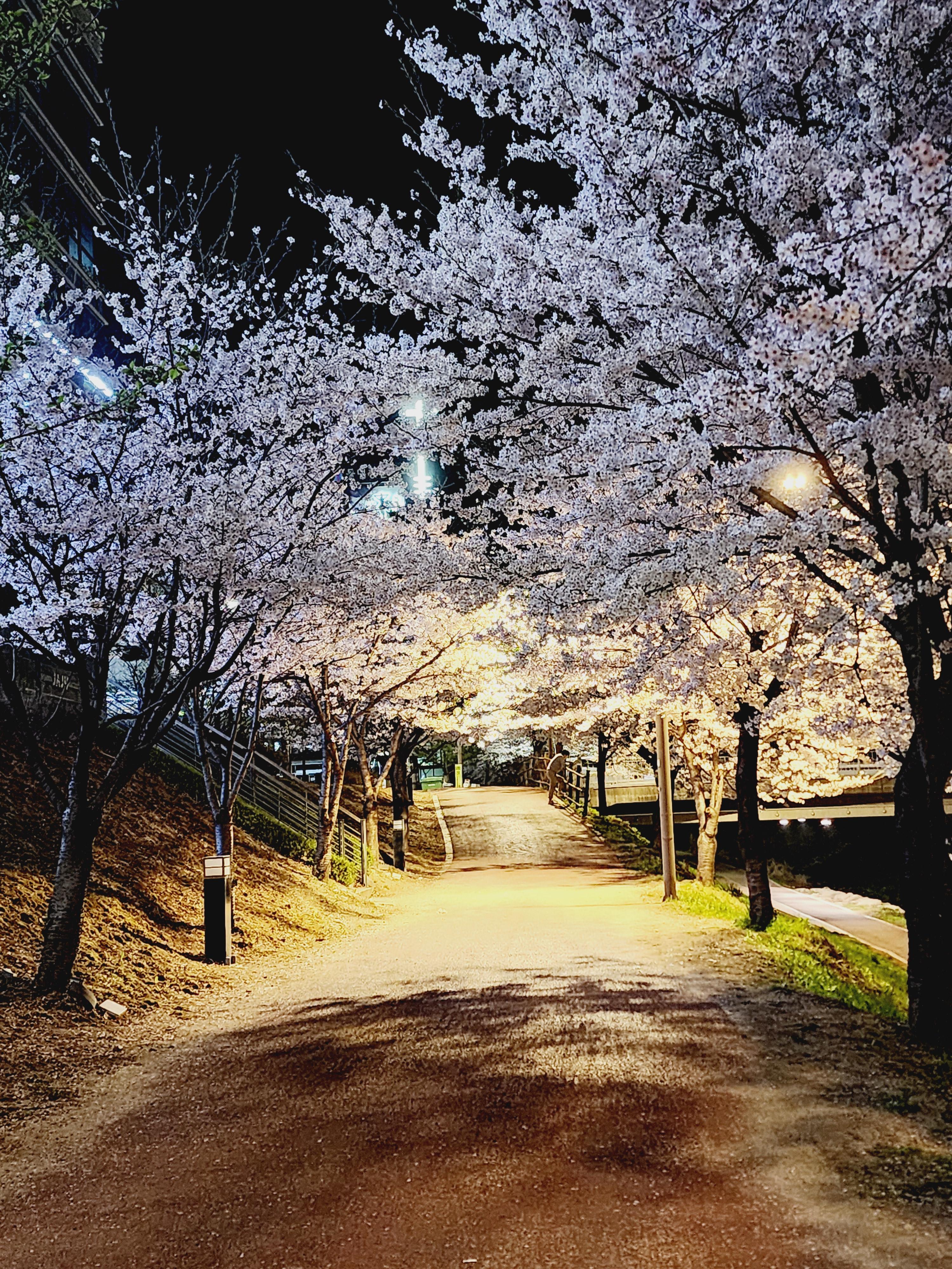 별내동 실거주자 사진 2
