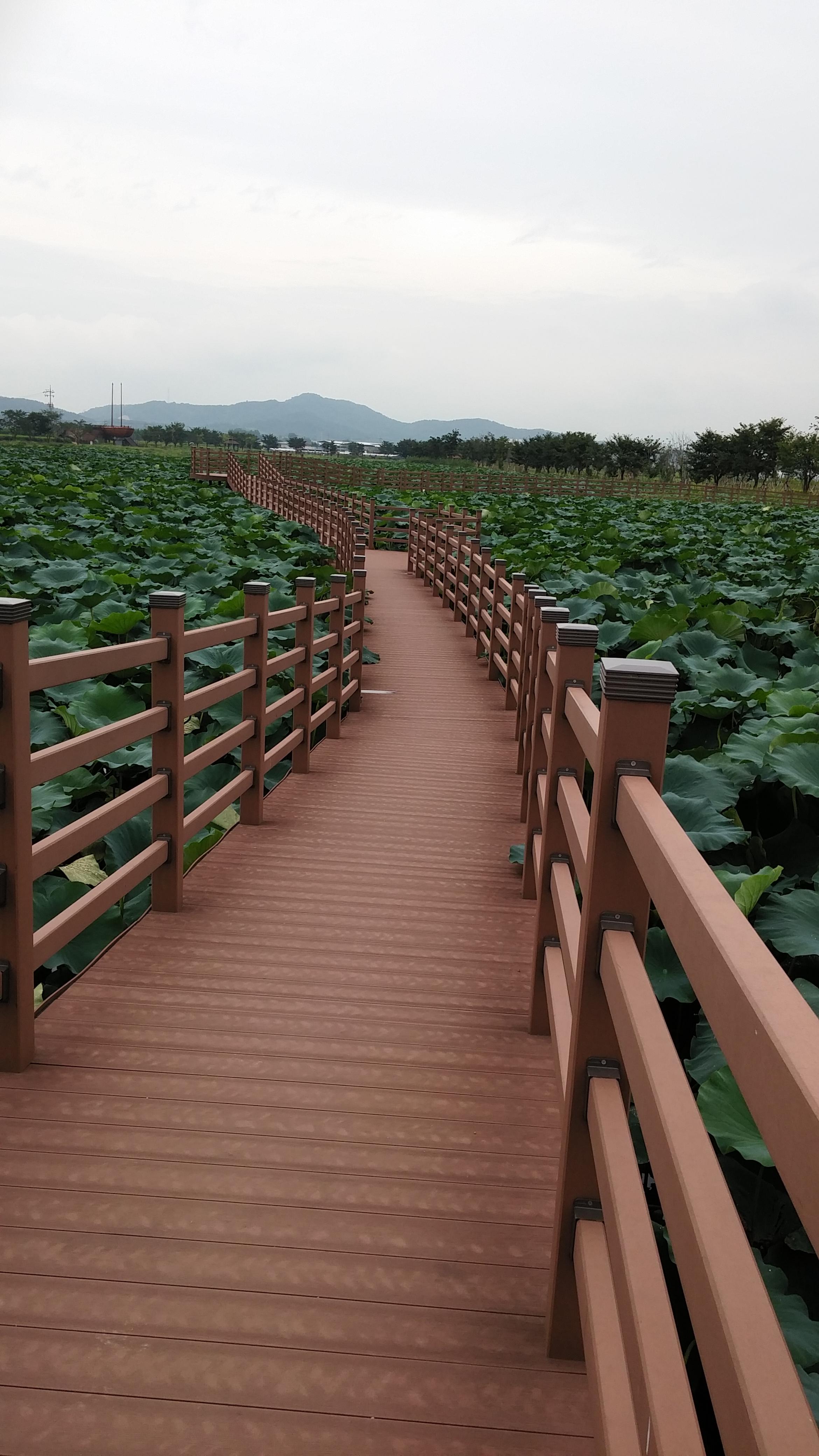 고아읍 실거주자 사진 2